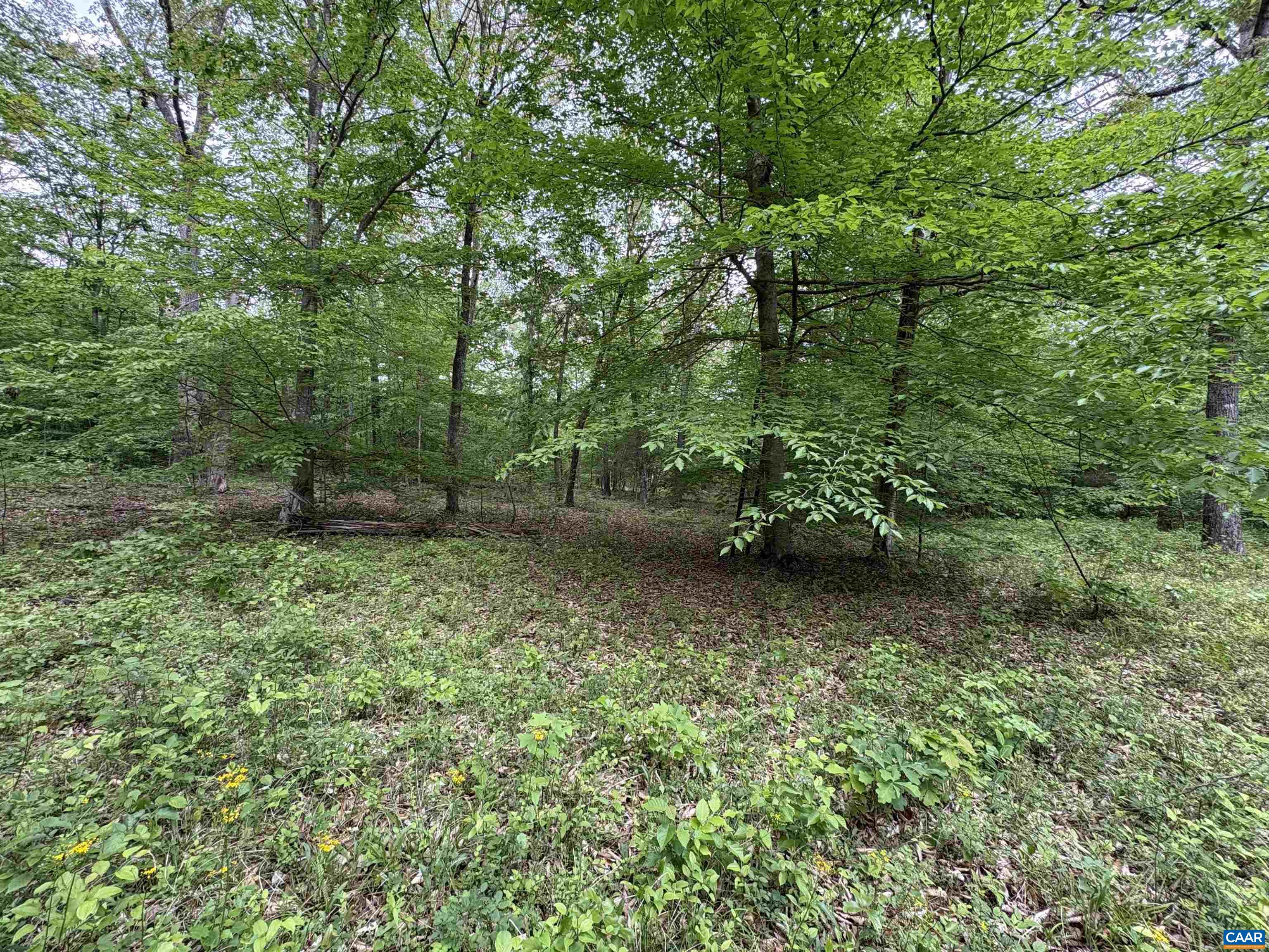 000 KEYS CHURCH RD, SHIPMAN, Virginia 22971, ,Land,000 KEYS CHURCH RD,677246 MLS # 677246 000 KEYS CHURCH RD, SHIPMAN, Virginia 22971, ,Land,000 KEYS CHURCH RD,677246 MLS # 677246
