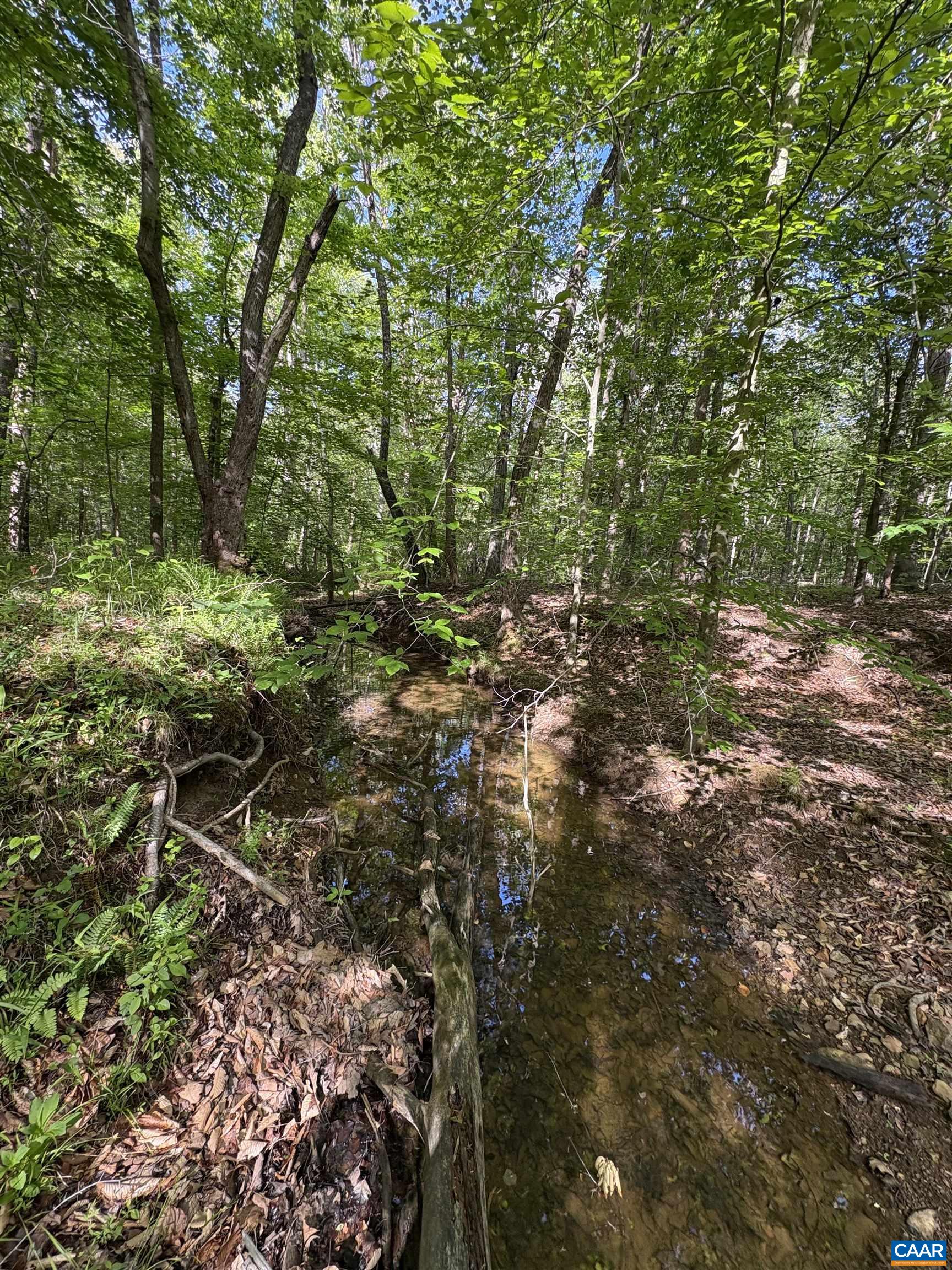 000 KEYS CHURCH RD, SHIPMAN, Virginia 22971, ,Land,000 KEYS CHURCH RD,677246 MLS # 677246 000 KEYS CHURCH RD, SHIPMAN, Virginia 22971, ,Land,000 KEYS CHURCH RD,677246 MLS # 677246