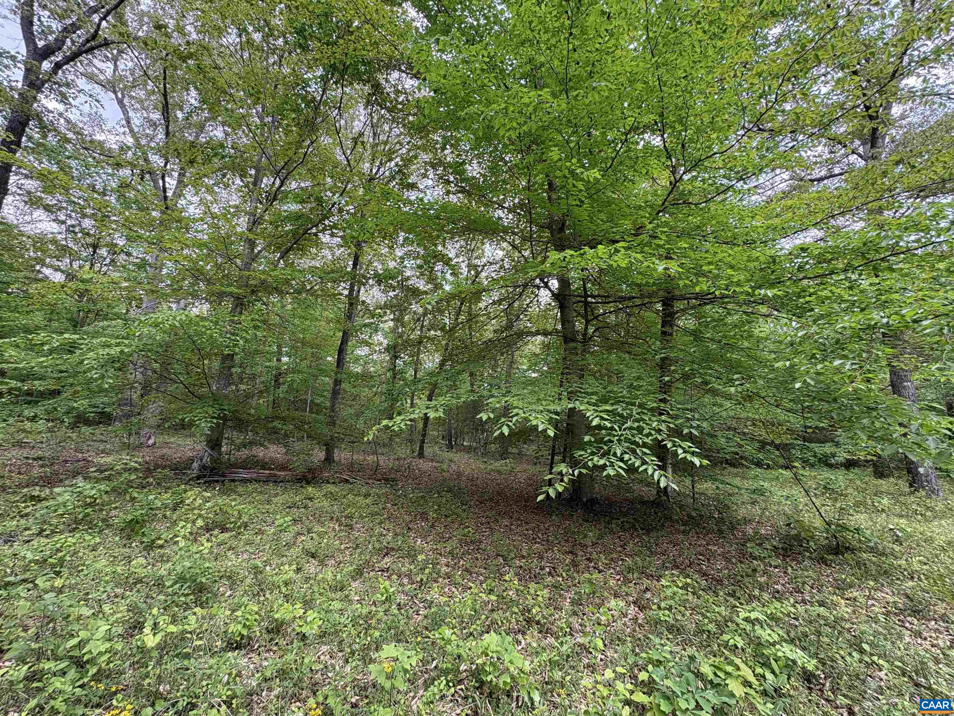 000 KEYS CHURCH RD, SHIPMAN, Virginia 22971, ,Land,000 KEYS CHURCH RD,677246 MLS # 677246 000 KEYS CHURCH RD, SHIPMAN, Virginia 22971, ,Land,000 KEYS CHURCH RD,677246 MLS # 677246