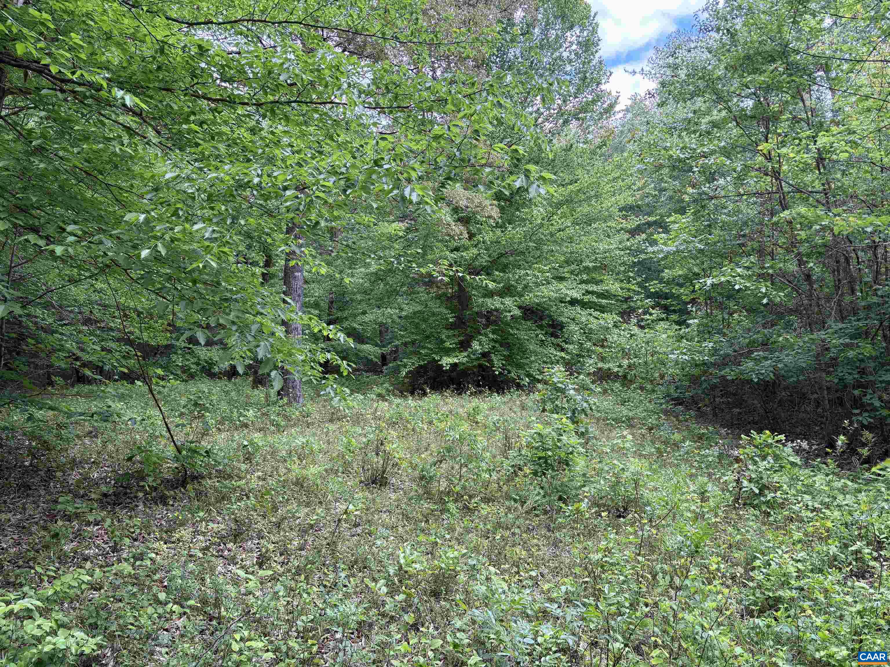 000 KEYS CHURCH RD, SHIPMAN, Virginia 22971, ,Land,000 KEYS CHURCH RD,677246 MLS # 677246 000 KEYS CHURCH RD, SHIPMAN, Virginia 22971, ,Land,000 KEYS CHURCH RD,677246 MLS # 677246