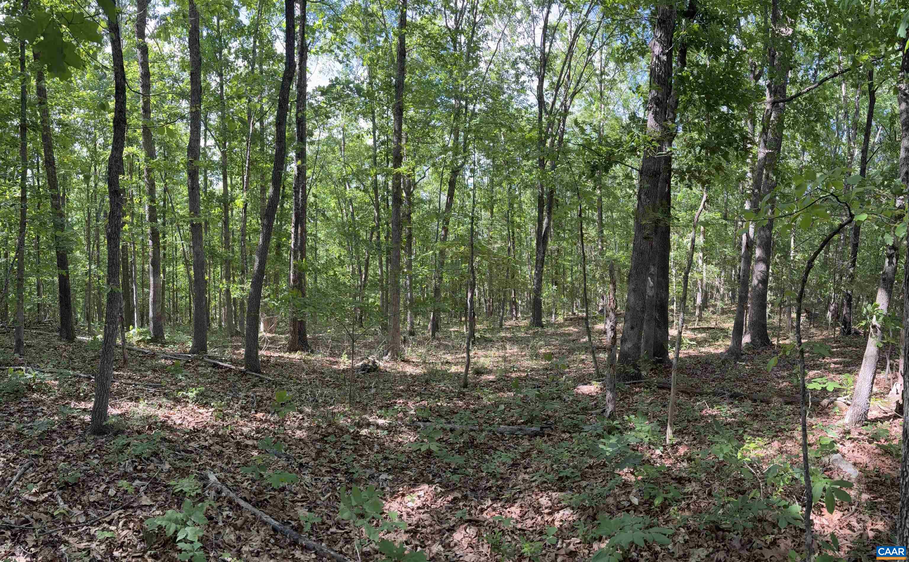 000 KEYS CHURCH RD, SHIPMAN, Virginia 22971, ,Land,000 KEYS CHURCH RD,677246 MLS # 677246 000 KEYS CHURCH RD, SHIPMAN, Virginia 22971, ,Land,000 KEYS CHURCH RD,677246 MLS # 677246