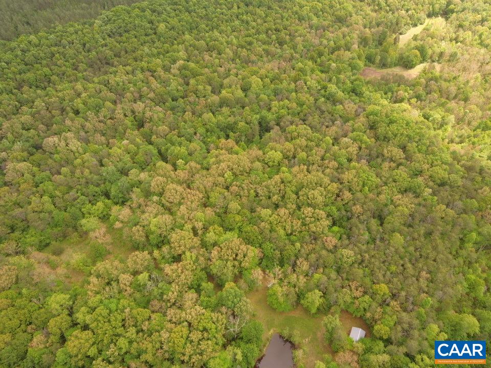 000 KEYS CHURCH RD, SHIPMAN, Virginia 22971, ,Land,000 KEYS CHURCH RD,677246 MLS # 677246 000 KEYS CHURCH RD, SHIPMAN, Virginia 22971, ,Land,000 KEYS CHURCH RD,677246 MLS # 677246
