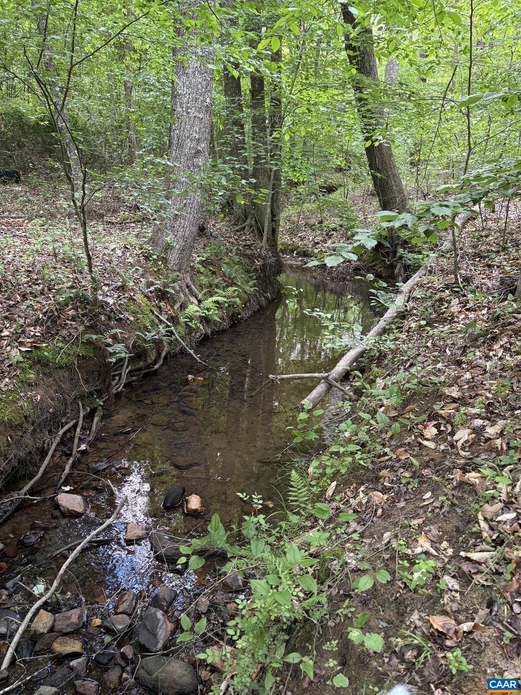 000 KEYS CHURCH RD, SHIPMAN, Virginia 22971, ,Land,000 KEYS CHURCH RD,677246 MLS # 677246 000 KEYS CHURCH RD, SHIPMAN, Virginia 22971, ,Land,000 KEYS CHURCH RD,677246 MLS # 677246