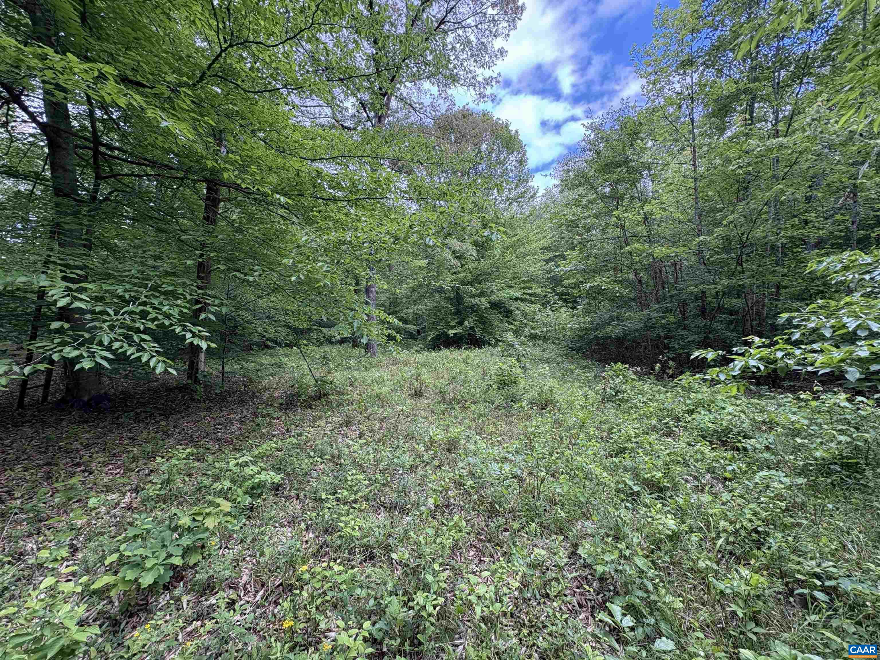 000 KEYS CHURCH RD, SHIPMAN, Virginia 22971, ,Land,000 KEYS CHURCH RD,677246 MLS # 677246 000 KEYS CHURCH RD, SHIPMAN, Virginia 22971, ,Land,000 KEYS CHURCH RD,677246 MLS # 677246