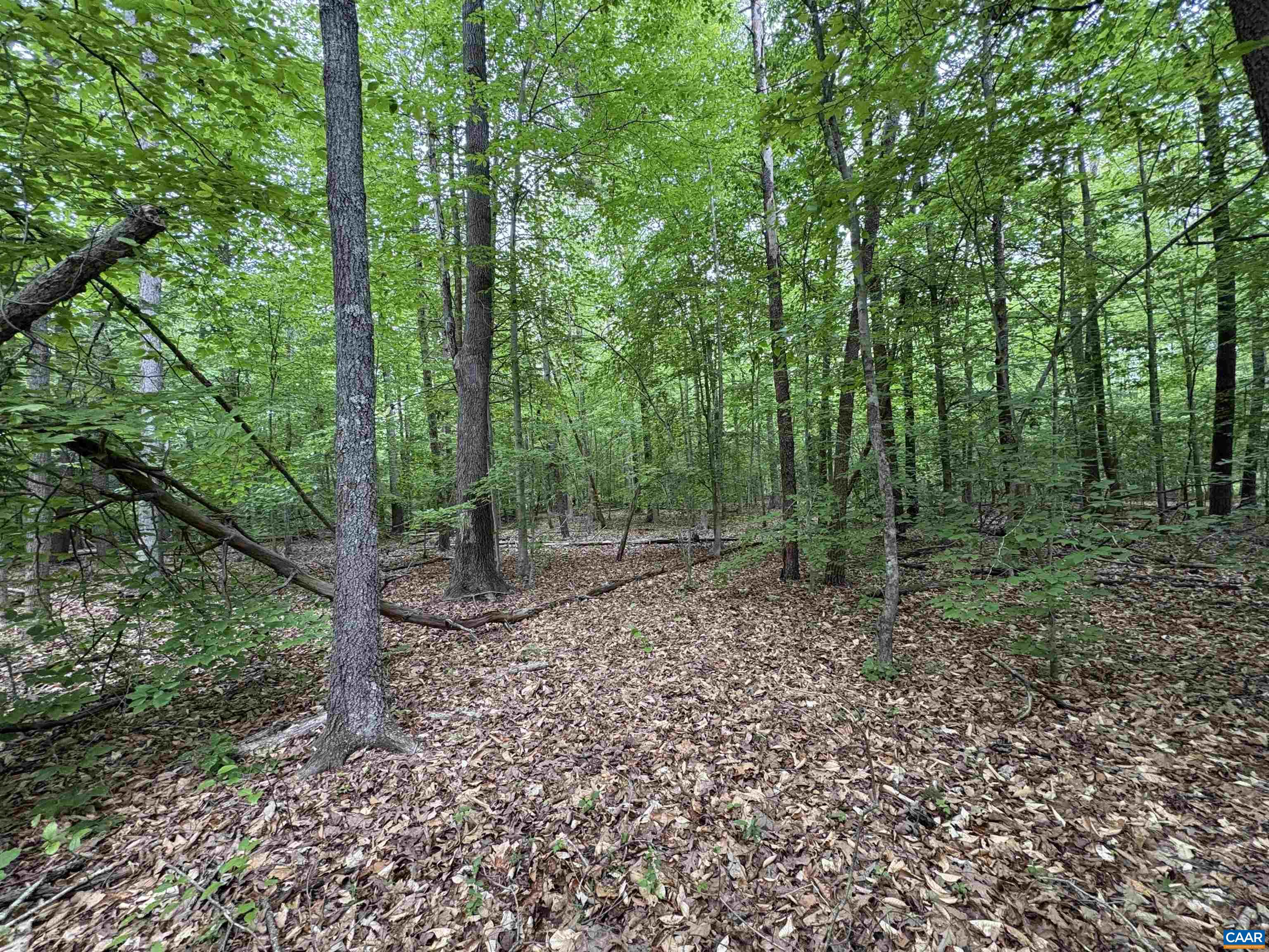 000 KEYS CHURCH RD, SHIPMAN, Virginia 22971, ,Land,000 KEYS CHURCH RD,677246 MLS # 677246 000 KEYS CHURCH RD, SHIPMAN, Virginia 22971, ,Land,000 KEYS CHURCH RD,677246 MLS # 677246