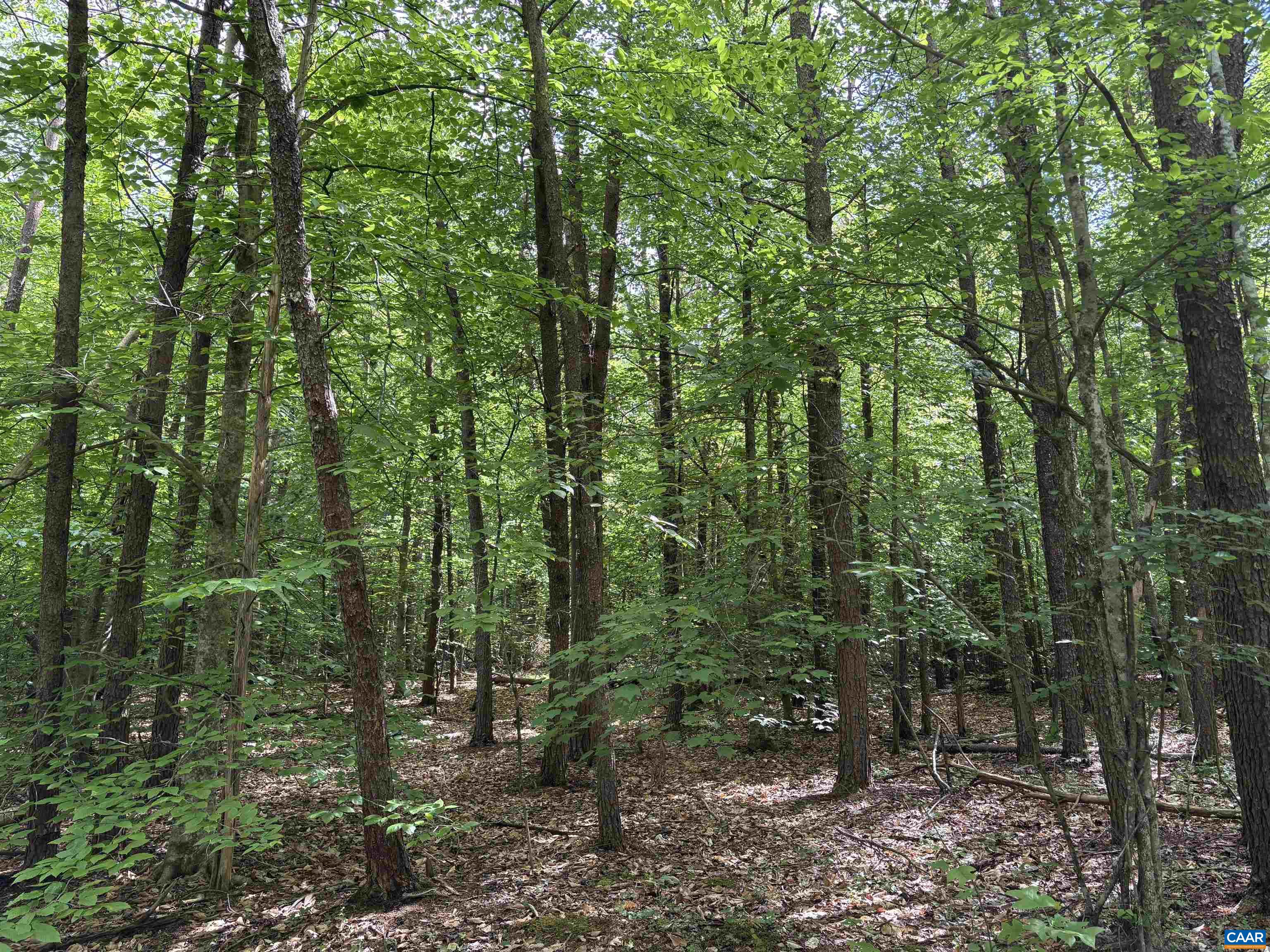 000 KEYS CHURCH RD, SHIPMAN, Virginia 22971, ,Land,000 KEYS CHURCH RD,677246 MLS # 677246 000 KEYS CHURCH RD, SHIPMAN, Virginia 22971, ,Land,000 KEYS CHURCH RD,677246 MLS # 677246