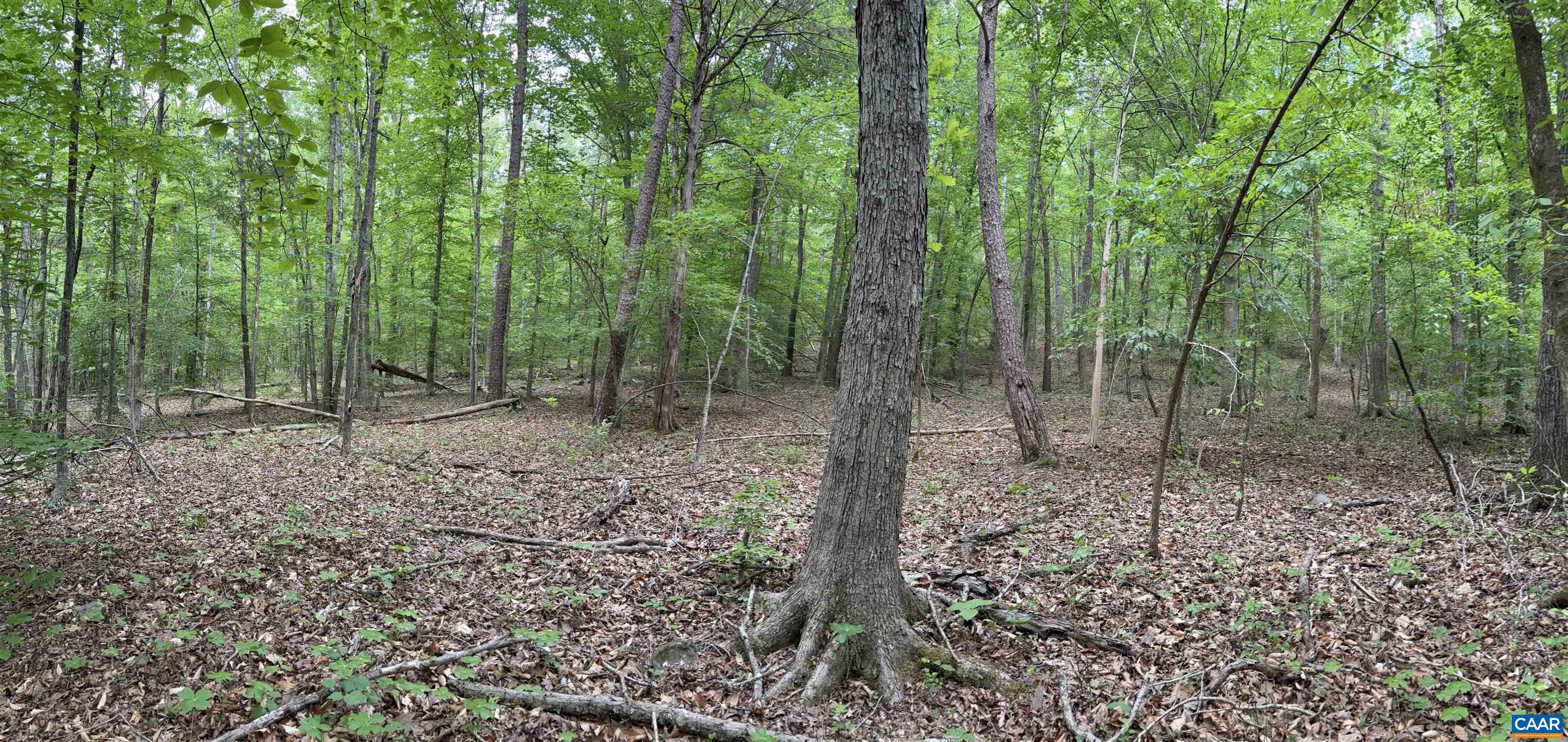 000 KEYS CHURCH RD, SHIPMAN, Virginia 22971, ,Land,000 KEYS CHURCH RD,677246 MLS # 677246 000 KEYS CHURCH RD, SHIPMAN, Virginia 22971, ,Land,000 KEYS CHURCH RD,677246 MLS # 677246