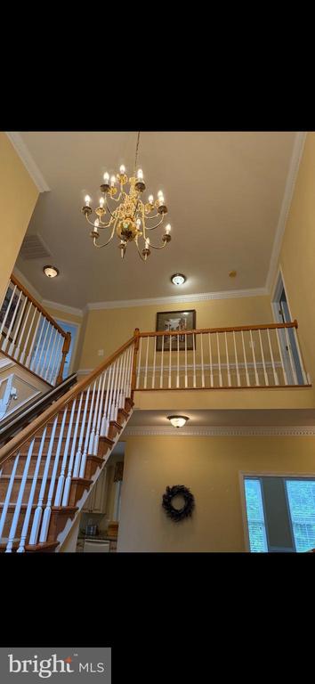 1478 SPOTSWOOD DR, LOCUST GROVE, Virginia 22508, 3 Bedrooms Bedrooms, ,2 BathroomsBathrooms,Residential,1478 SPOTSWOOD DR,VAOR2014152 MLS # VAOR2014152 1478 SPOTSWOOD DR, LOCUST GROVE, Virginia 22508, 3 Bedrooms Bedrooms, ,2 BathroomsBathrooms,Residential,1478 SPOTSWOOD DR,VAOR2014152 MLS # VAOR2014152