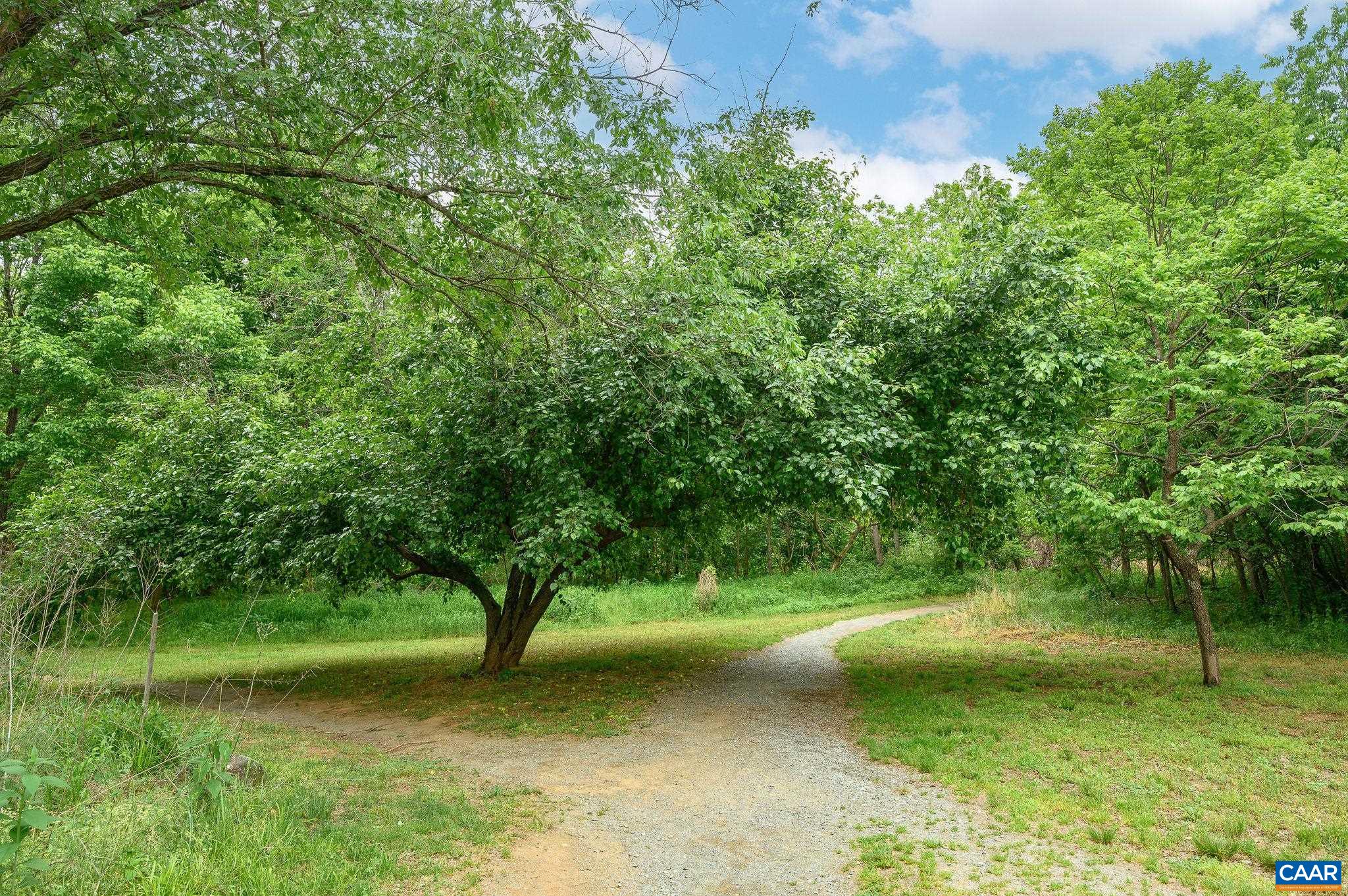 270 RIVERBEND DR, CHARLOTTESVILLE, Virginia 22911, 1 Bedroom Bedrooms, ,1 BathroomBathrooms,Residential,270 RIVERBEND DR,677181 MLS # 677181 270 RIVERBEND DR, CHARLOTTESVILLE, Virginia 22911, 1 Bedroom Bedrooms, ,1 BathroomBathrooms,Residential,270 RIVERBEND DR,677181 MLS # 677181