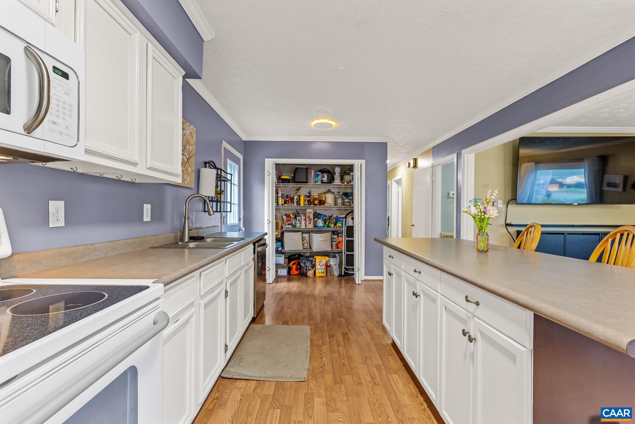 525 JESTER LN, CHARLOTTESVILLE, Virginia 22911, 4 Bedrooms Bedrooms, ,3 BathroomsBathrooms,Residential,525 JESTER LN,677243 MLS # 677243