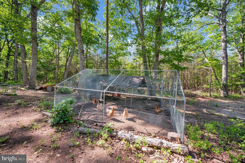 28282 TATUM RD, UNIONVILLE, Virginia 22567, 3 Bedrooms Bedrooms, ,2 BathroomsBathrooms,Residential,28282 TATUM RD,VAOR2014208 MLS # VAOR2014208