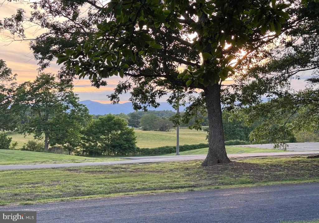 18257 BIRMINGHAM RD, REVA, Virginia 22701, 2 Bedrooms Bedrooms, ,1 BathroomBathrooms,Residential,18257 BIRMINGHAM RD,VACU2013660 MLS # VACU2013660