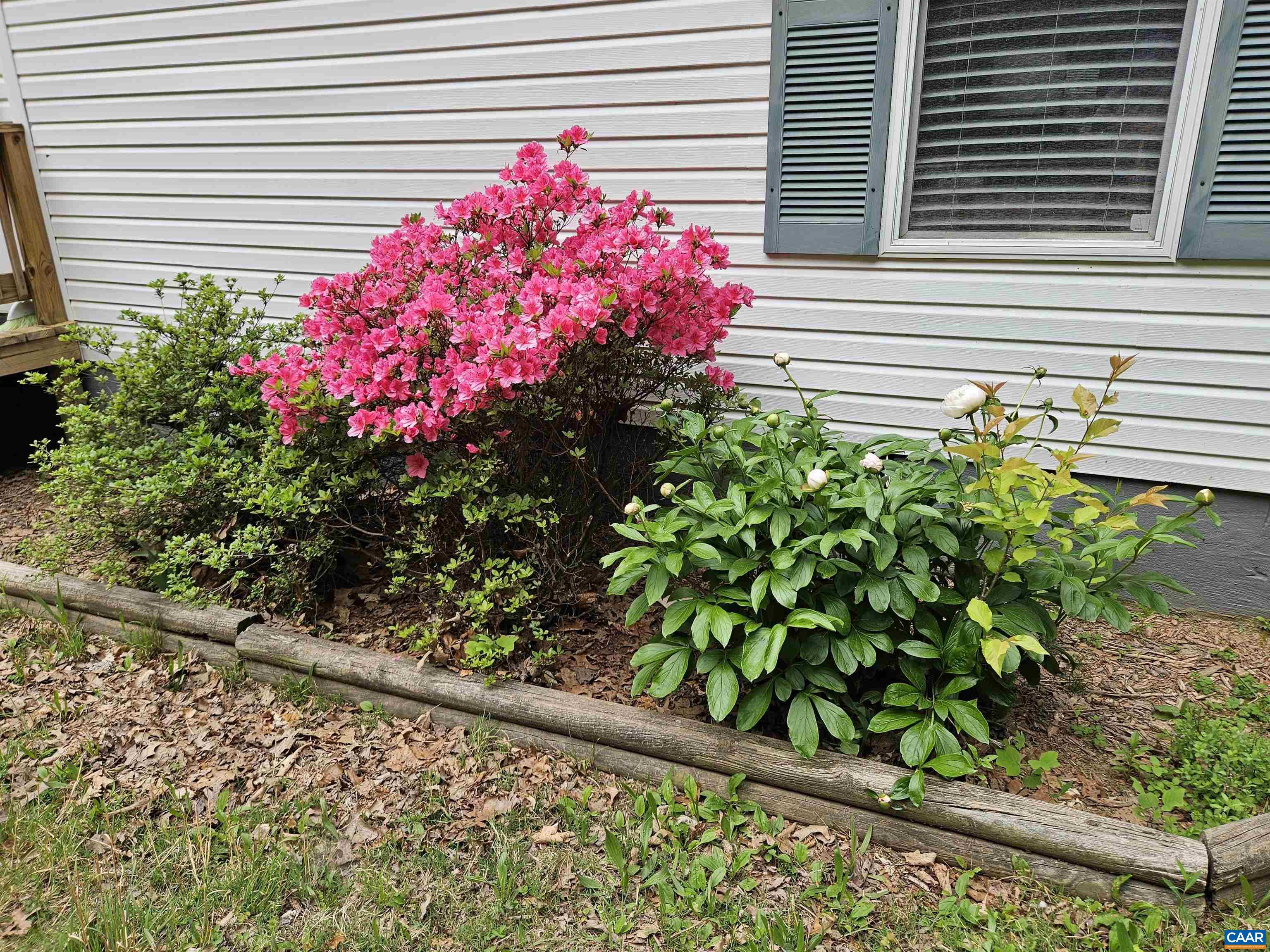 981 SCOTTS BOTTOM RD, DILLWYN, Virginia 23936, 3 Bedrooms Bedrooms, ,2 BathroomsBathrooms,Residential,981 SCOTTS BOTTOM RD,677251 MLS # 677251