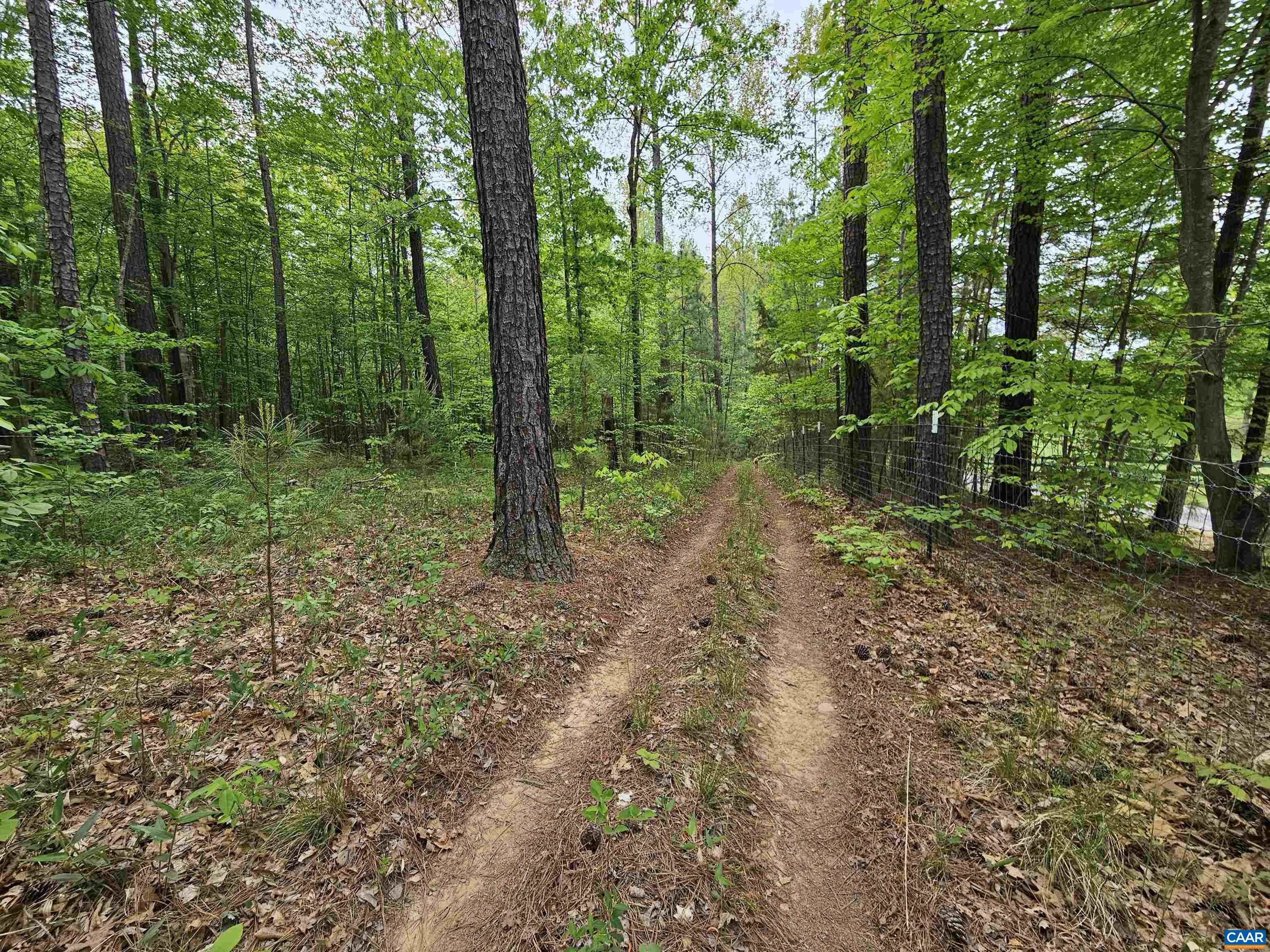 981 SCOTTS BOTTOM RD, DILLWYN, Virginia 23936, 3 Bedrooms Bedrooms, ,2 BathroomsBathrooms,Residential,981 SCOTTS BOTTOM RD,677251 MLS # 677251