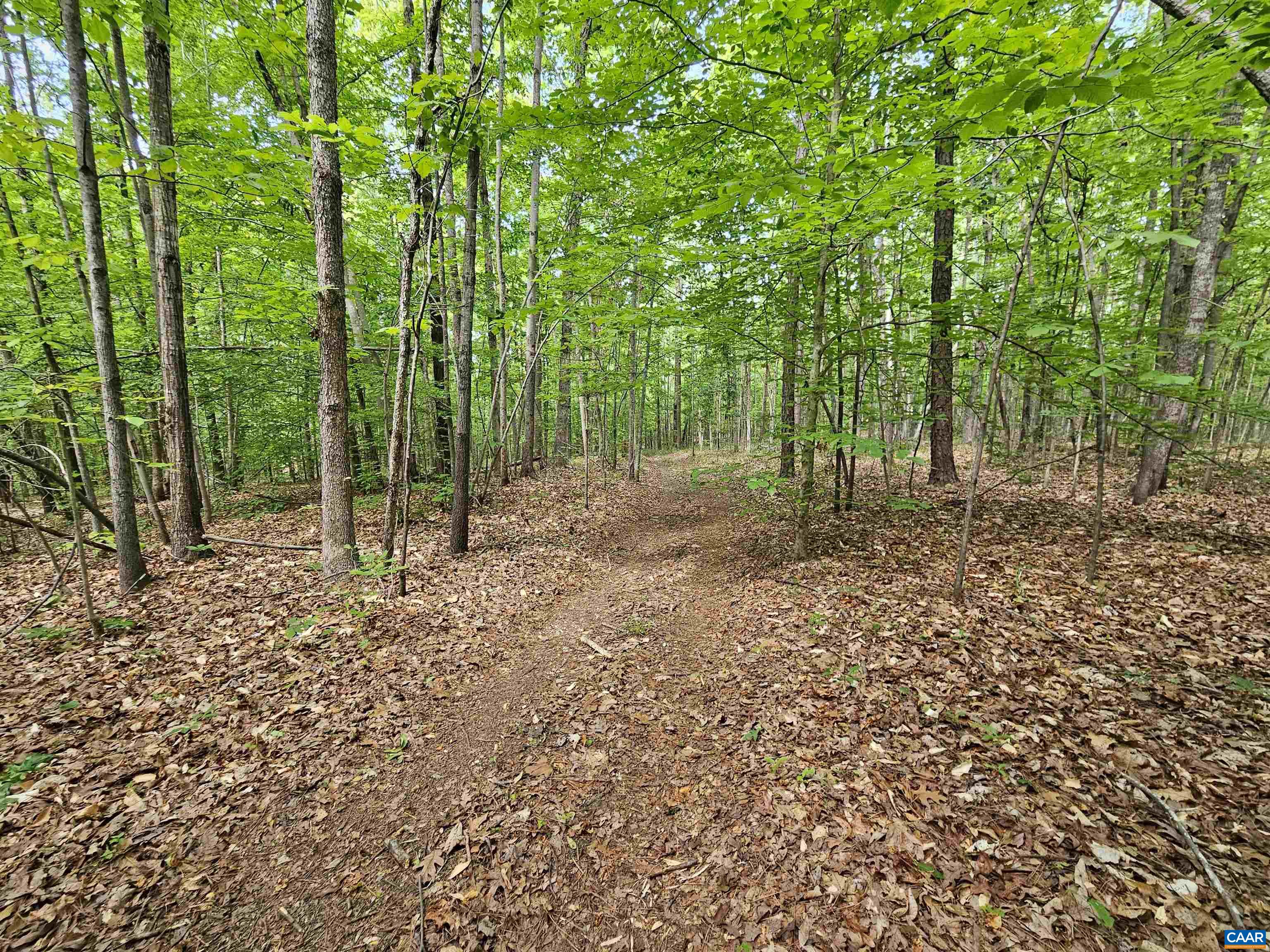 981 SCOTTS BOTTOM RD, DILLWYN, Virginia 23936, 3 Bedrooms Bedrooms, ,2 BathroomsBathrooms,Residential,981 SCOTTS BOTTOM RD,677251 MLS # 677251