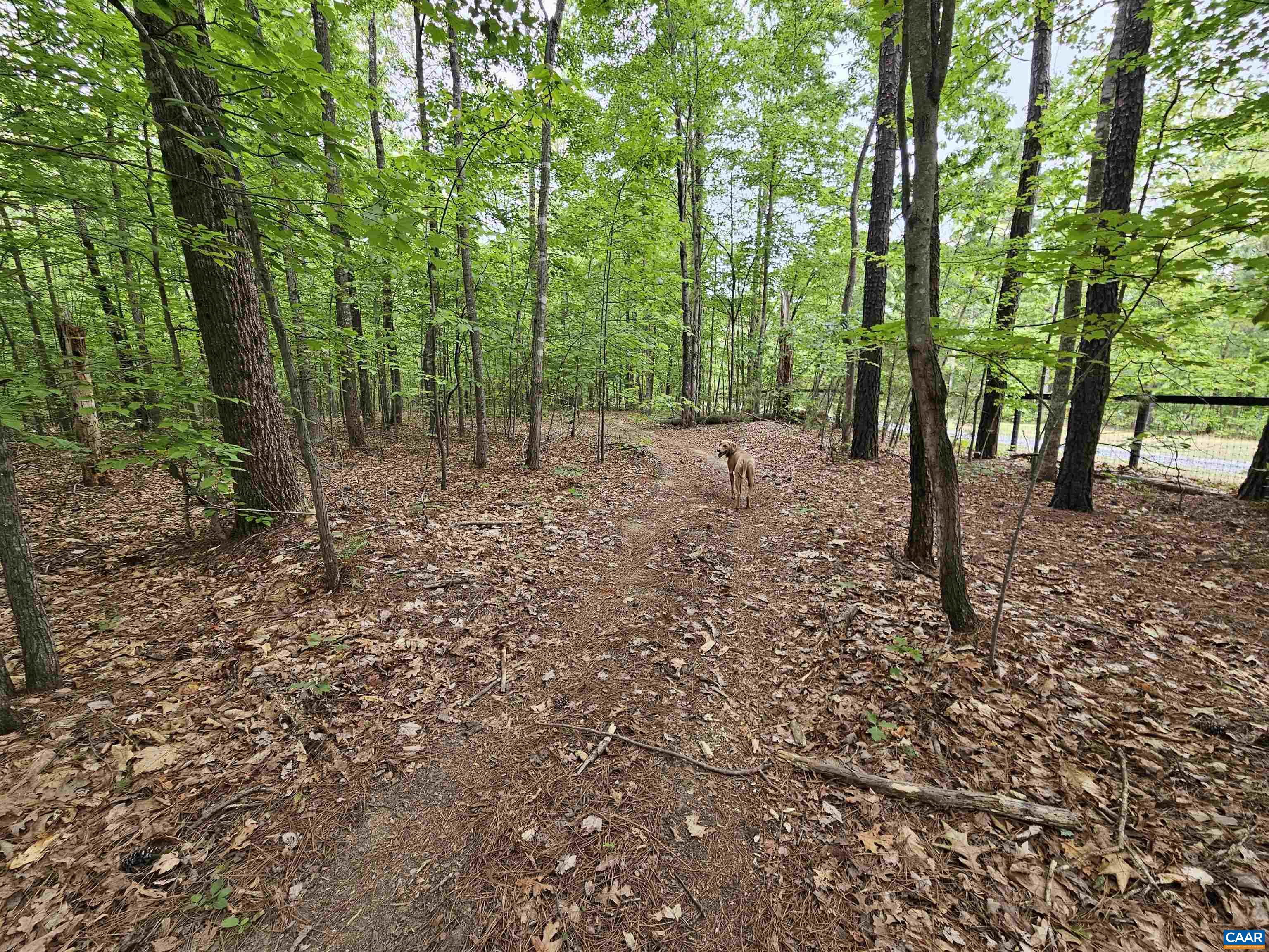 981 SCOTTS BOTTOM RD, DILLWYN, Virginia 23936, 3 Bedrooms Bedrooms, ,2 BathroomsBathrooms,Residential,981 SCOTTS BOTTOM RD,677251 MLS # 677251