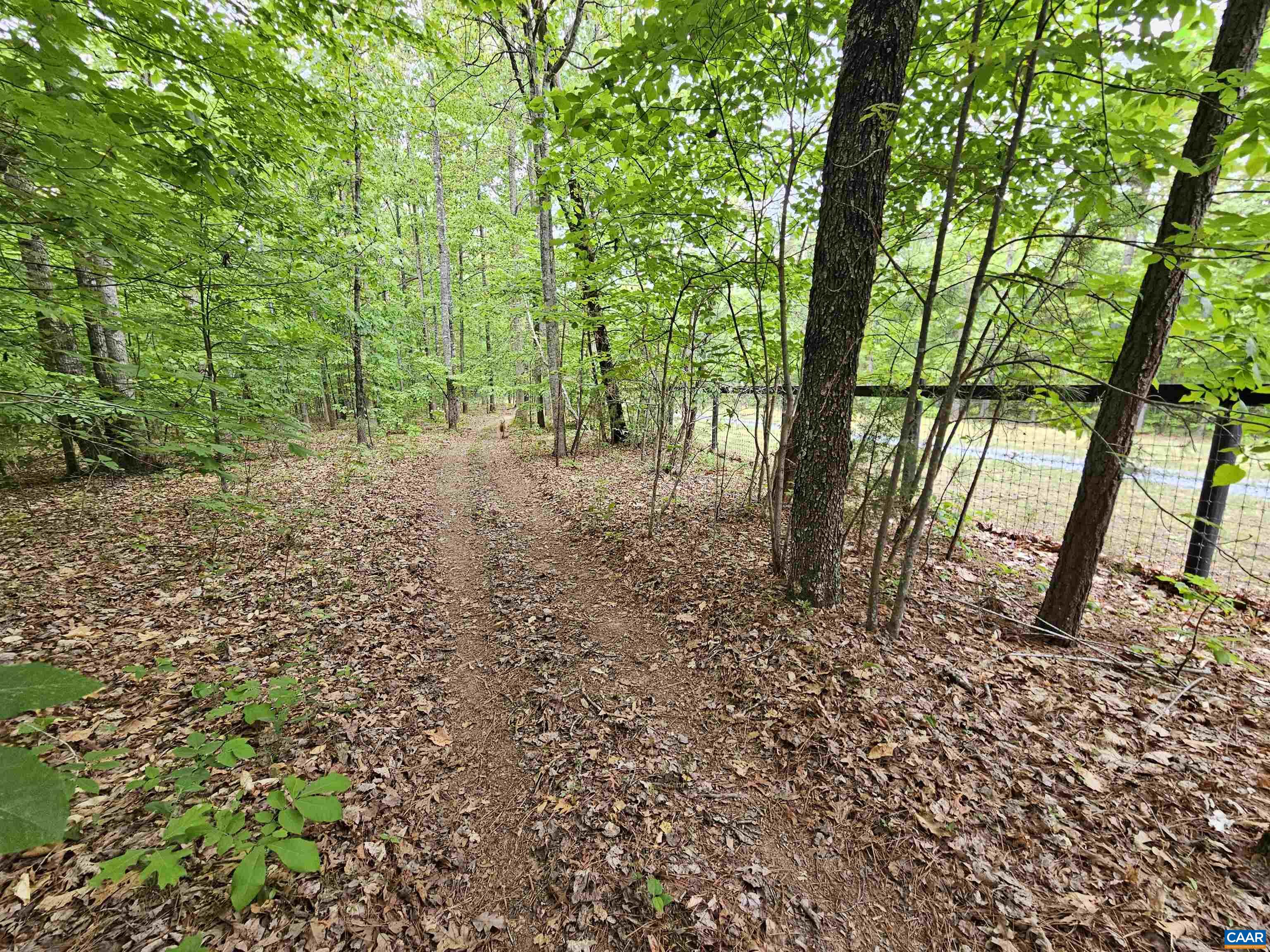 981 SCOTTS BOTTOM RD, DILLWYN, Virginia 23936, 3 Bedrooms Bedrooms, ,2 BathroomsBathrooms,Residential,981 SCOTTS BOTTOM RD,677251 MLS # 677251