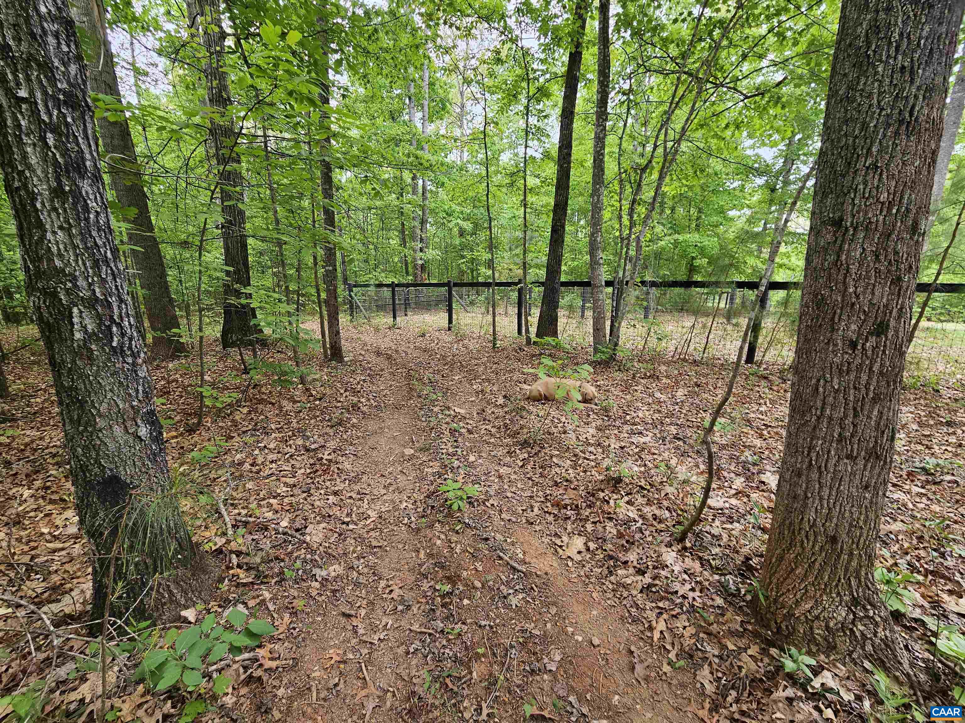 981 SCOTTS BOTTOM RD, DILLWYN, Virginia 23936, 3 Bedrooms Bedrooms, ,2 BathroomsBathrooms,Residential,981 SCOTTS BOTTOM RD,677251 MLS # 677251