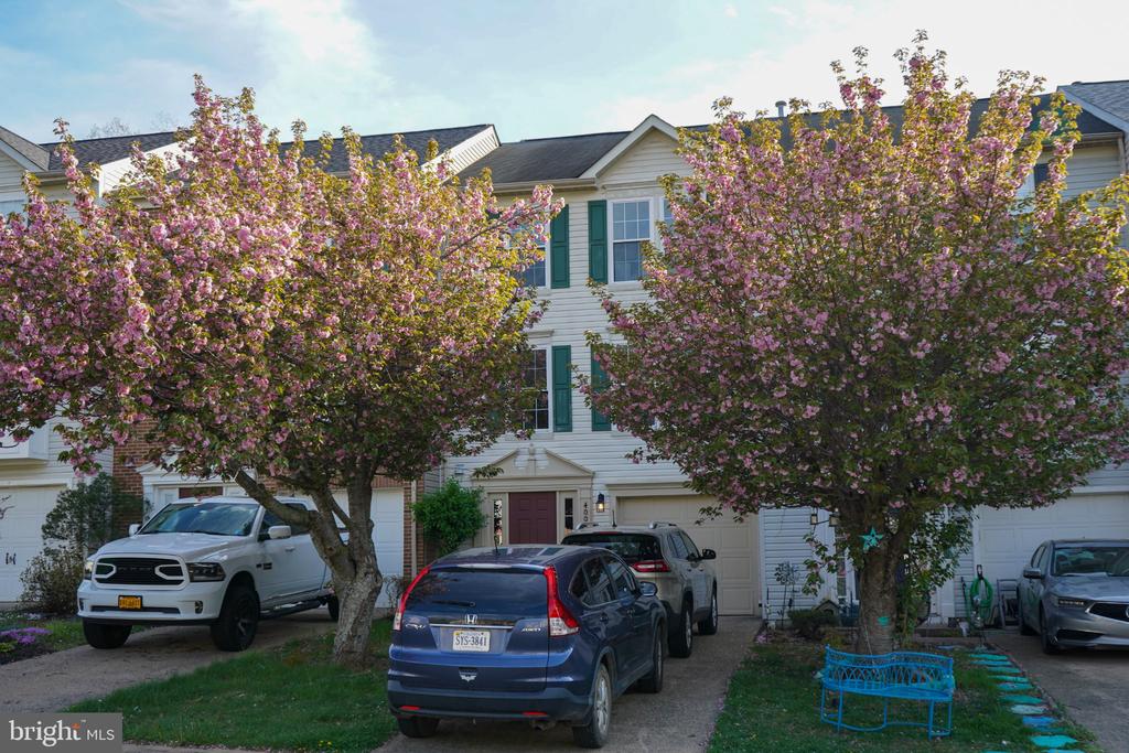 4004 FOUNTAIN BRIDGE CT, FREDERICKSBURG, Virginia 22408, 3 Bedrooms Bedrooms, ,2 BathroomsBathrooms,Residential,NONE AVAILABLE,4004 FOUNTAIN BRIDGE CT,VASP2040862 MLS # VASP2040862 4004 FOUNTAIN BRIDGE CT, FREDERICKSBURG, Virginia 22408, 3 Bedrooms Bedrooms, ,2 BathroomsBathrooms,Residential,NONE AVAILABLE,4004 FOUNTAIN BRIDGE CT,VASP2040862 MLS # VASP2040862