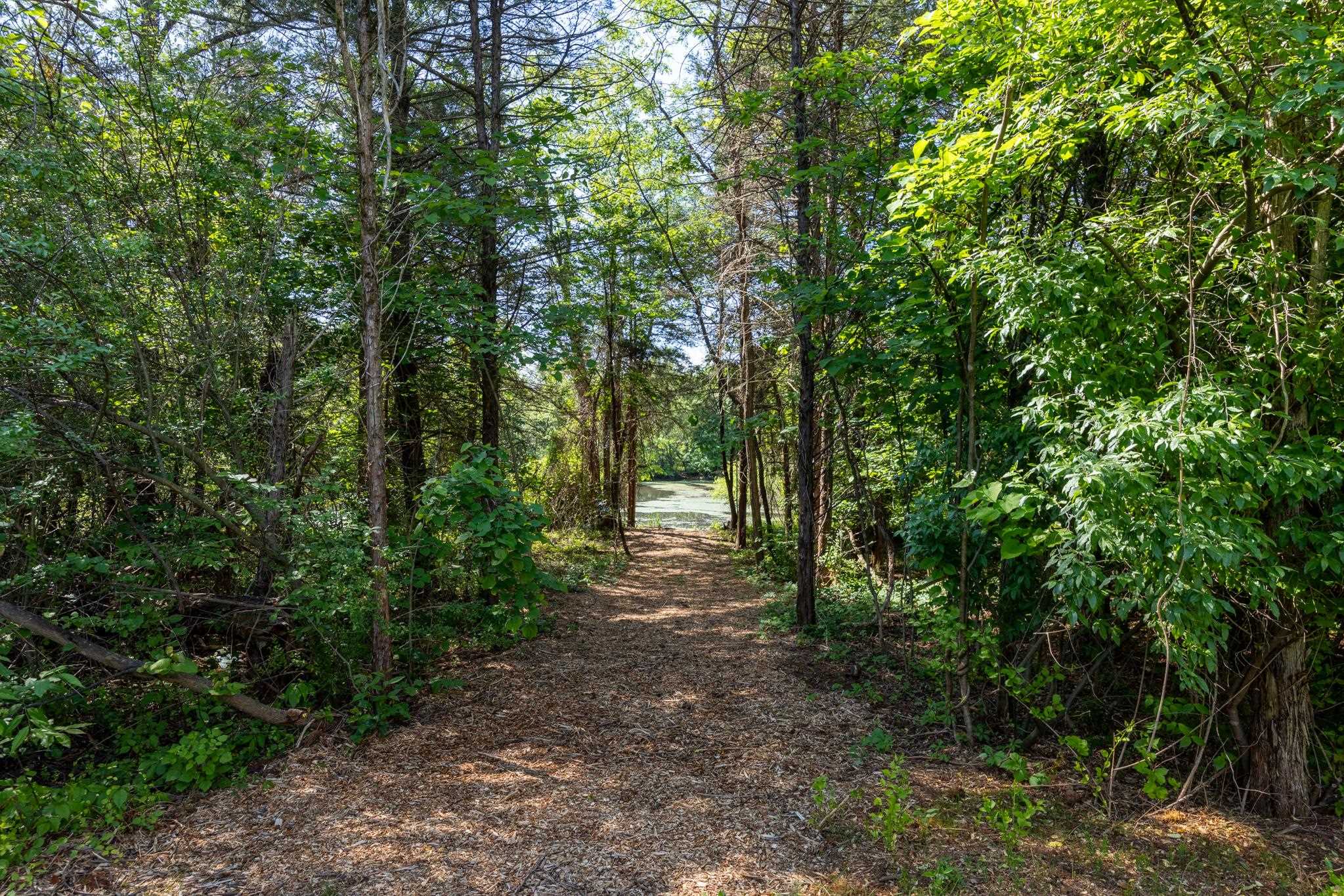2696 DUNNES SHOP RD, RUCKERSVILLE, Virginia 22968, 3 Bedrooms Bedrooms, ,2 BathroomsBathrooms,Residential,2696 DUNNES SHOP RD,677266 MLS # 677266