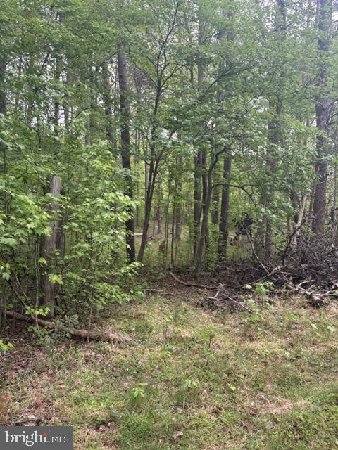 LOT 2 PLUM TREE CIR, BUMPASS, Virginia 23024, ,Land,LOT 2 PLUM TREE CIR,VALA2009902 MLS # VALA2009902