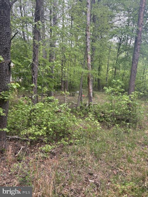 LOT 2 PLUM TREE CIR, BUMPASS, Virginia 23024, ,Land,LOT 2 PLUM TREE CIR,VALA2009902 MLS # VALA2009902