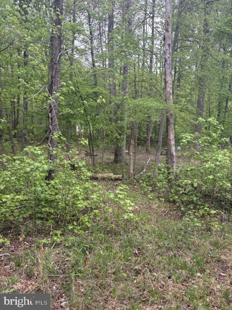 LOT 2 PLUM TREE CIR, BUMPASS, Virginia 23024, ,Land,LOT 2 PLUM TREE CIR,VALA2009902 MLS # VALA2009902