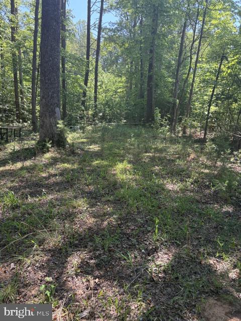 LOT 2 PLUM TREE CIR, BUMPASS, Virginia 23024, ,Land,LOT 2 PLUM TREE CIR,VALA2009902 MLS # VALA2009902