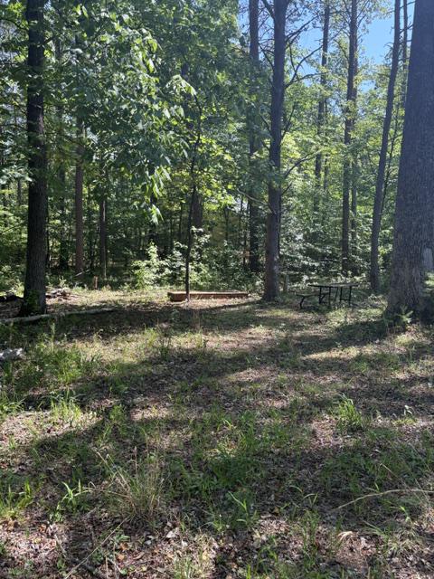LOT 2 PLUM TREE CIR, BUMPASS, Virginia 23024, ,Land,LOT 2 PLUM TREE CIR,VALA2009902 MLS # VALA2009902