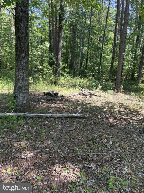 LOT 2 PLUM TREE CIR, BUMPASS, Virginia 23024, ,Land,LOT 2 PLUM TREE CIR,VALA2009902 MLS # VALA2009902