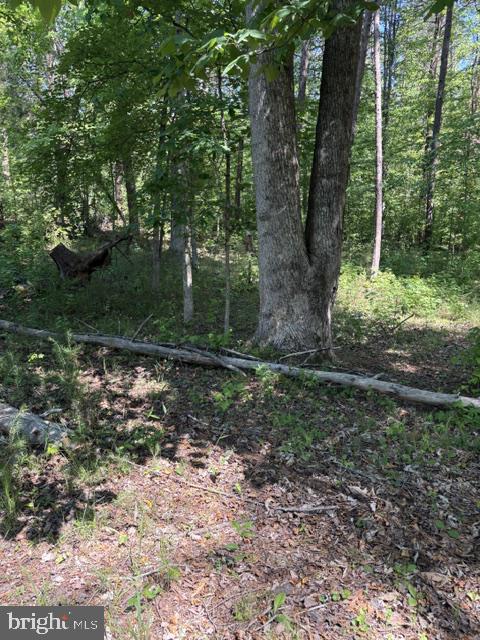 LOT 2 PLUM TREE CIR, BUMPASS, Virginia 23024, ,Land,LOT 2 PLUM TREE CIR,VALA2009902 MLS # VALA2009902