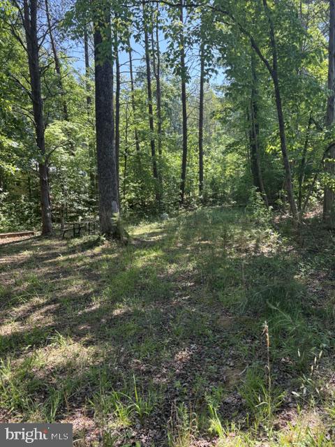 LOT 2 PLUM TREE CIR, BUMPASS, Virginia 23024, ,Land,LOT 2 PLUM TREE CIR,VALA2009902 MLS # VALA2009902