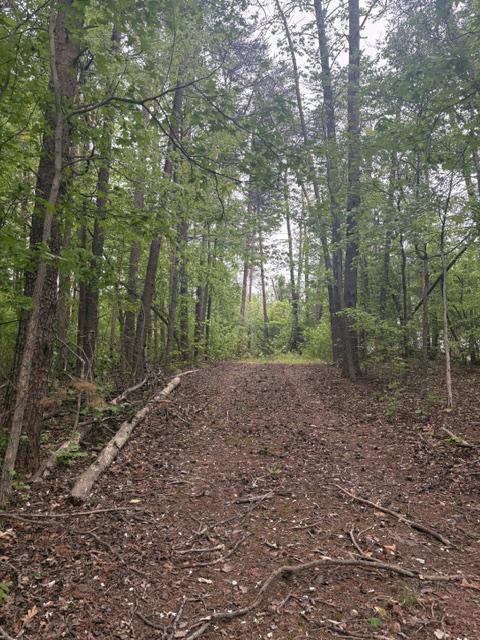 LOT 2 PLUM TREE CIR, BUMPASS, Virginia 23024, ,Land,LOT 2 PLUM TREE CIR,VALA2009902 MLS # VALA2009902