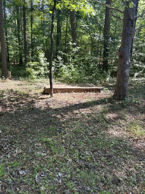 LOT 2 PLUM TREE CIR, BUMPASS, Virginia 23024, ,Land,LOT 2 PLUM TREE CIR,VALA2009902 MLS # VALA2009902