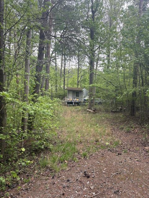 LOT 2 PLUM TREE CIR, BUMPASS, Virginia 23024, ,Land,LOT 2 PLUM TREE CIR,VALA2009902 MLS # VALA2009902