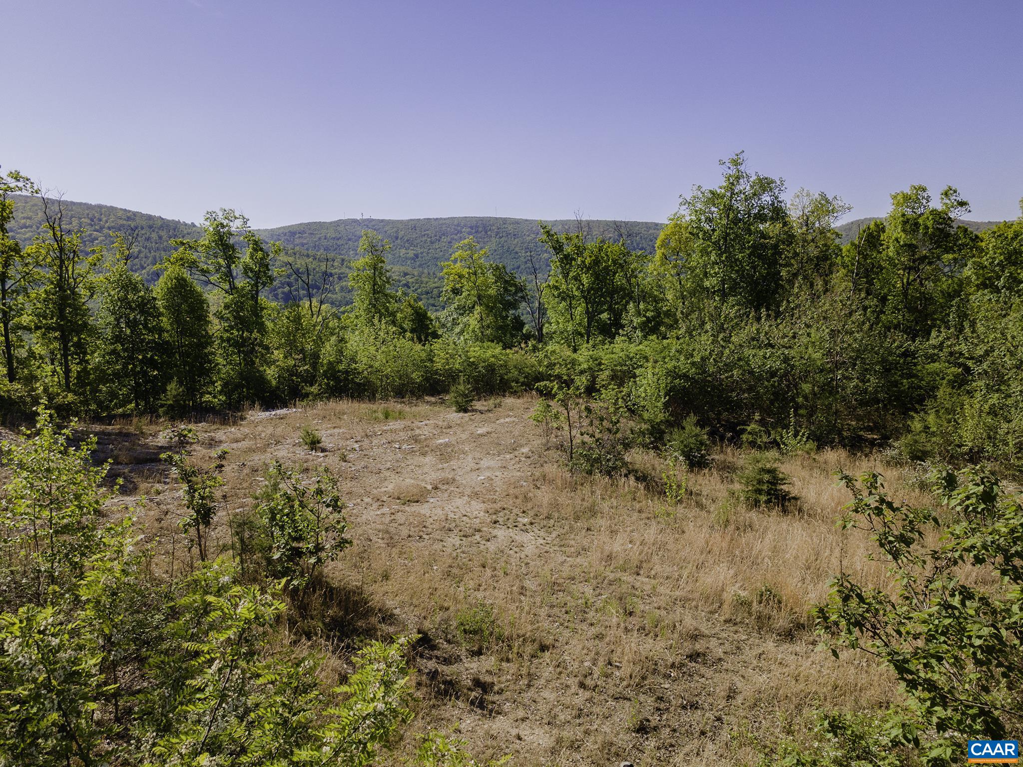 TBD FOX RIDGE LN, WAYNESBORO, Virginia 22980, ,Land,TBD FOX RIDGE LN,676400 MLS # 676400