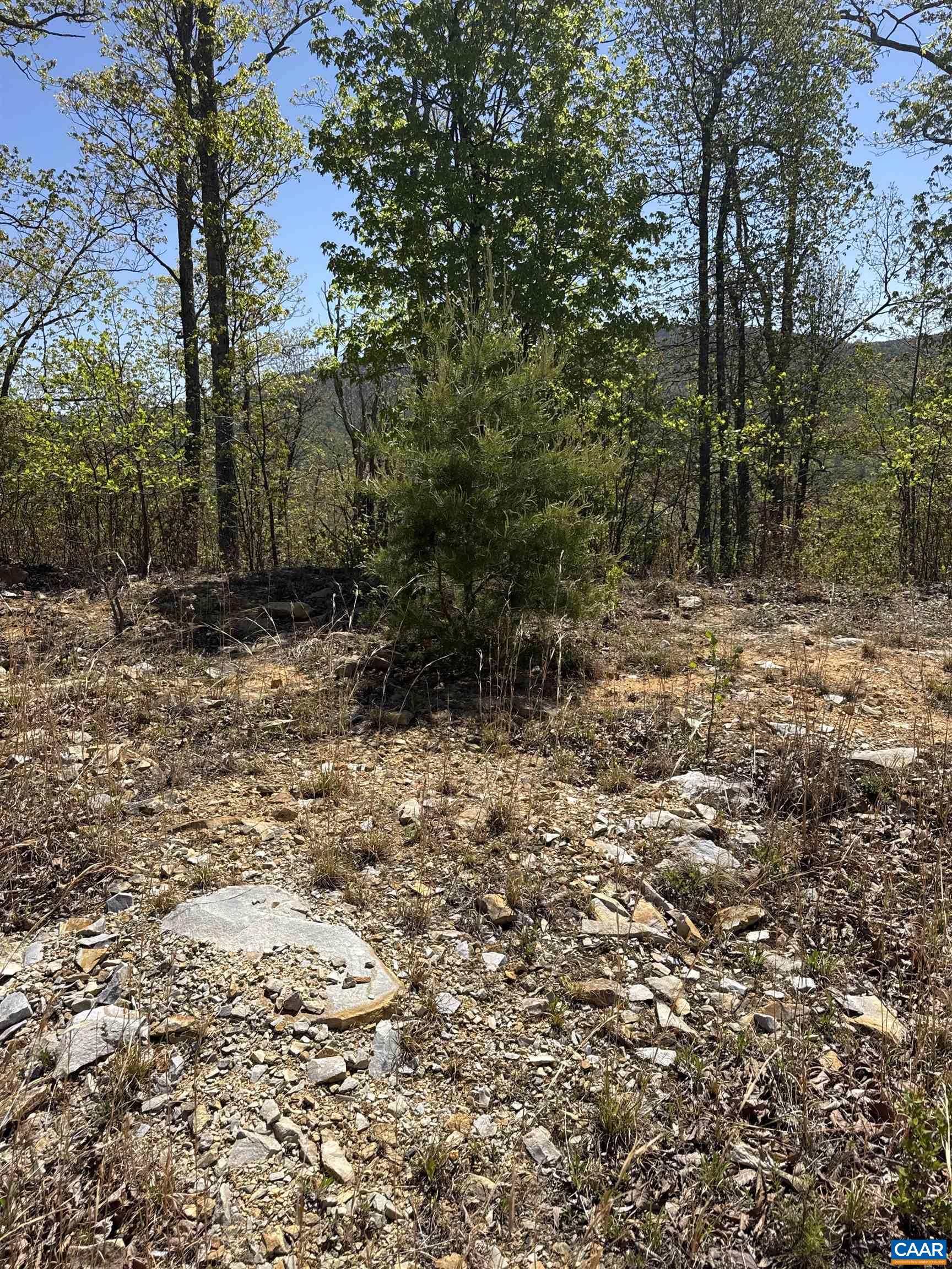 TBD FOX RIDGE LN, WAYNESBORO, Virginia 22980, ,Land,TBD FOX RIDGE LN,676400 MLS # 676400