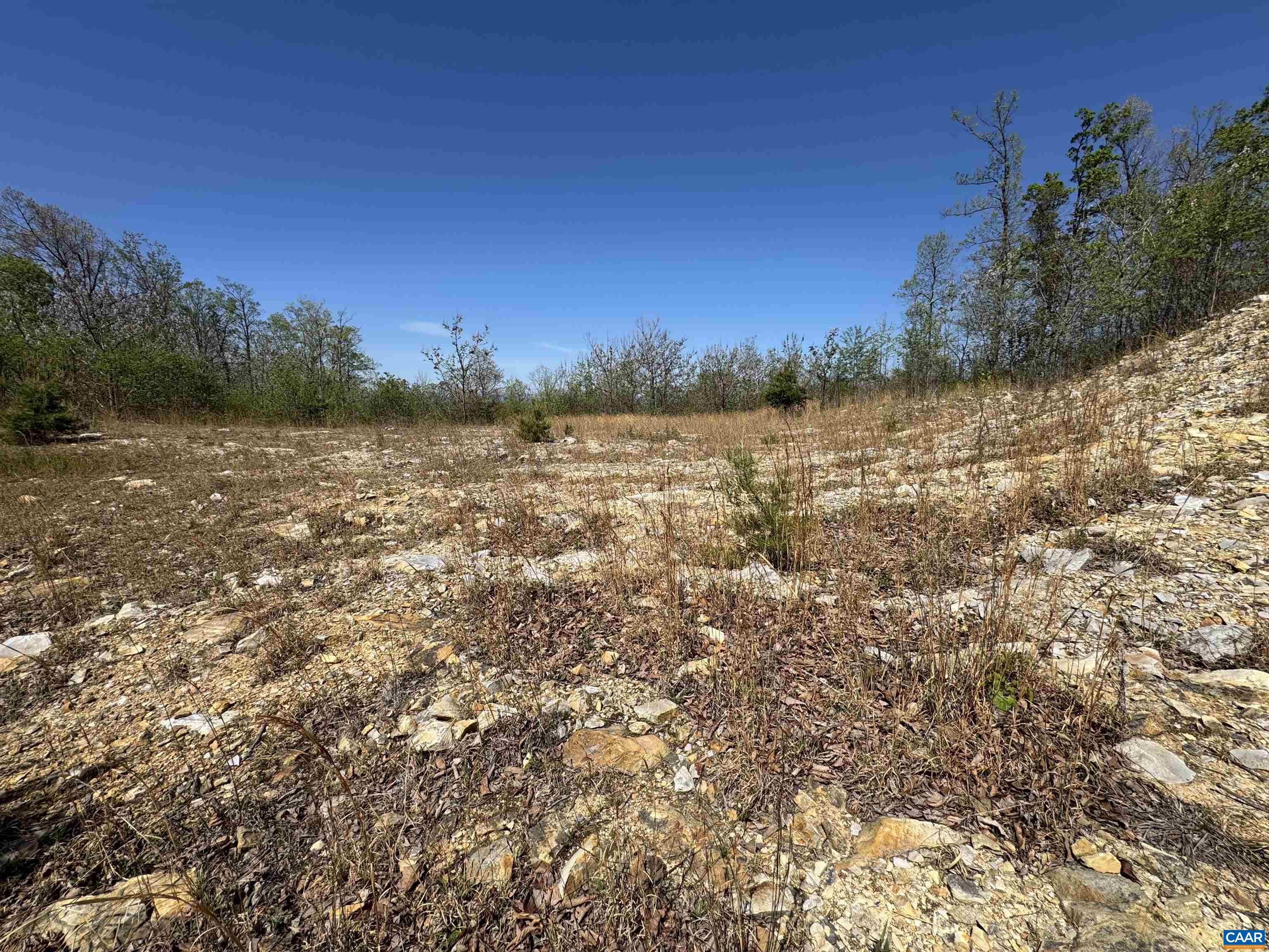 TBD FOX RIDGE LN, WAYNESBORO, Virginia 22980, ,Land,TBD FOX RIDGE LN,676400 MLS # 676400