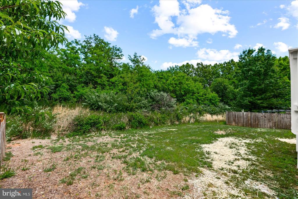 635 HOLLY CREST DR, CULPEPER, Virginia 22701, 4 Bedrooms Bedrooms, ,6 BathroomsBathrooms,Residential,635 HOLLY CREST DR,VACU2013672 MLS # VACU2013672 635 HOLLY CREST DR, CULPEPER, Virginia 22701, 4 Bedrooms Bedrooms, ,6 BathroomsBathrooms,Residential,635 HOLLY CREST DR,VACU2013672 MLS # VACU2013672
