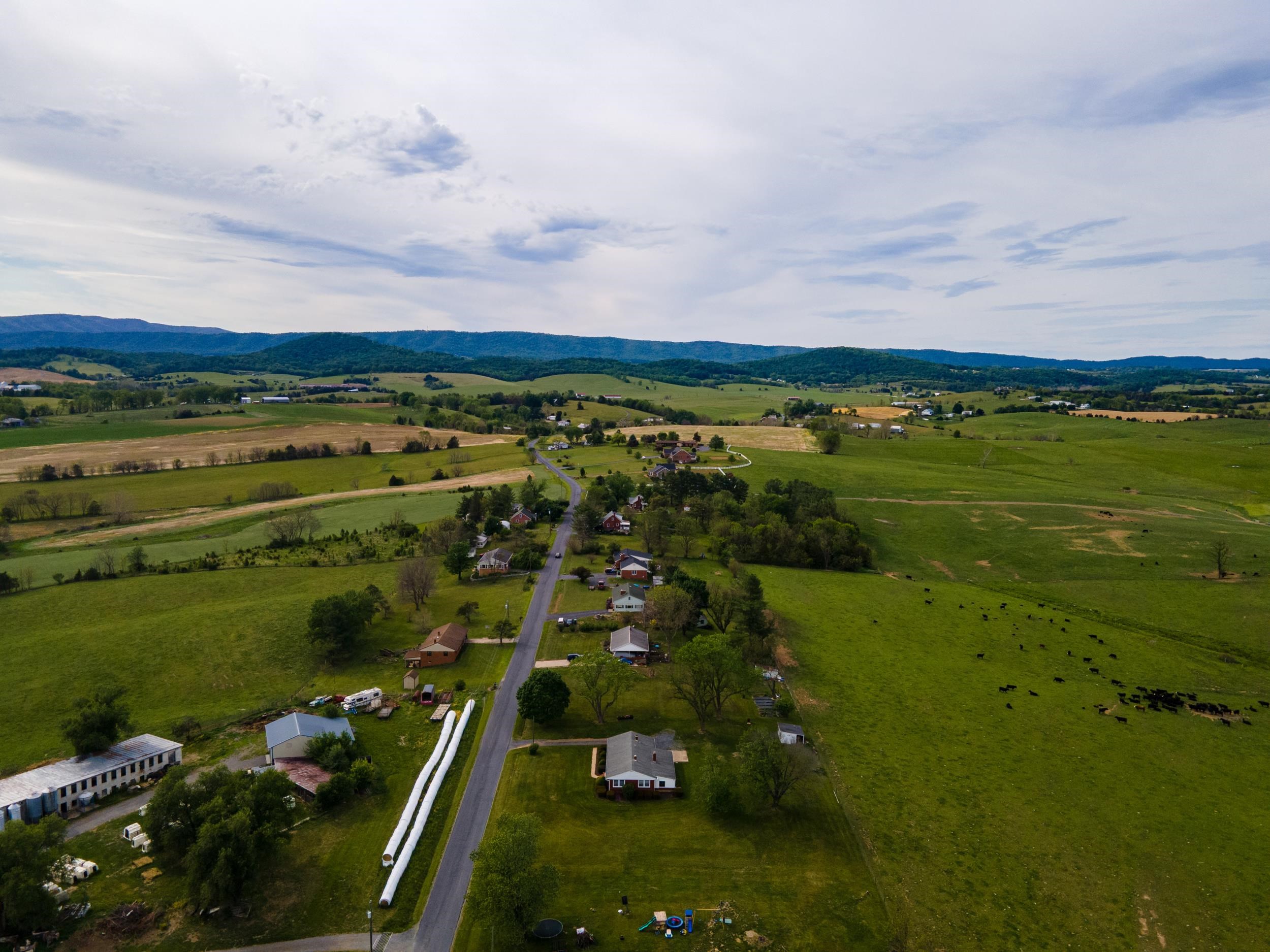 3568 BRENNEMAN CHURCH RD, ROCKINGHAM, Virginia 22802, 3 Bedrooms Bedrooms, ,2 BathroomsBathrooms,Residential,3568 BRENNEMAN CHURCH RD,677283 MLS # 677283