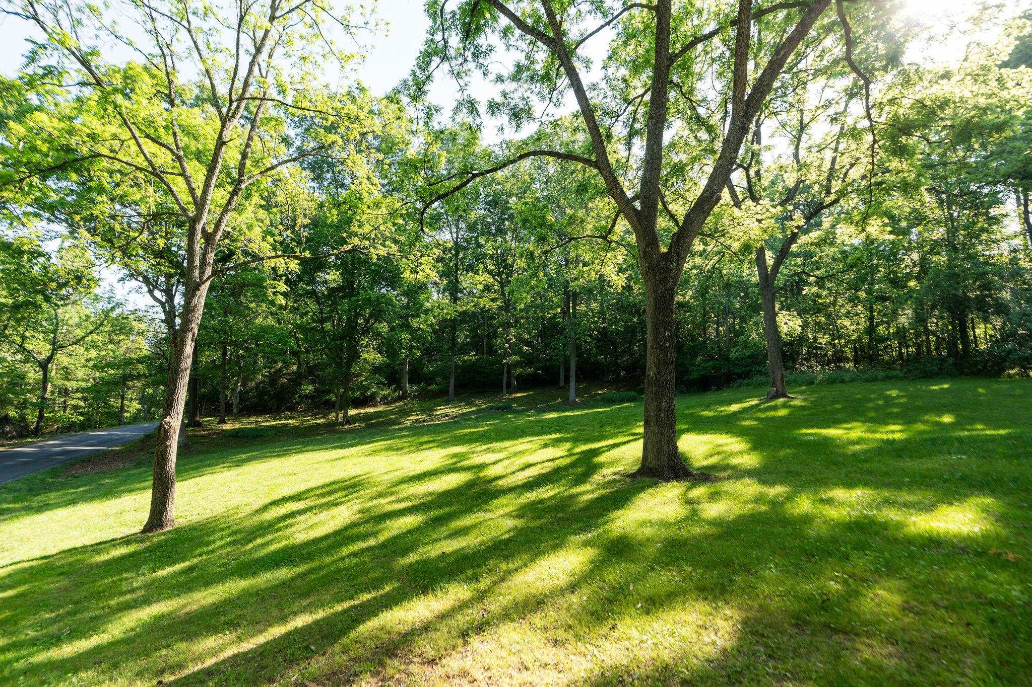 378 FOREST GROVE RD, LEXINGTON, Virginia 24450, 3 Bedrooms Bedrooms, ,1 BathroomBathrooms,Residential,378 FOREST GROVE RD,677317 MLS # 677317