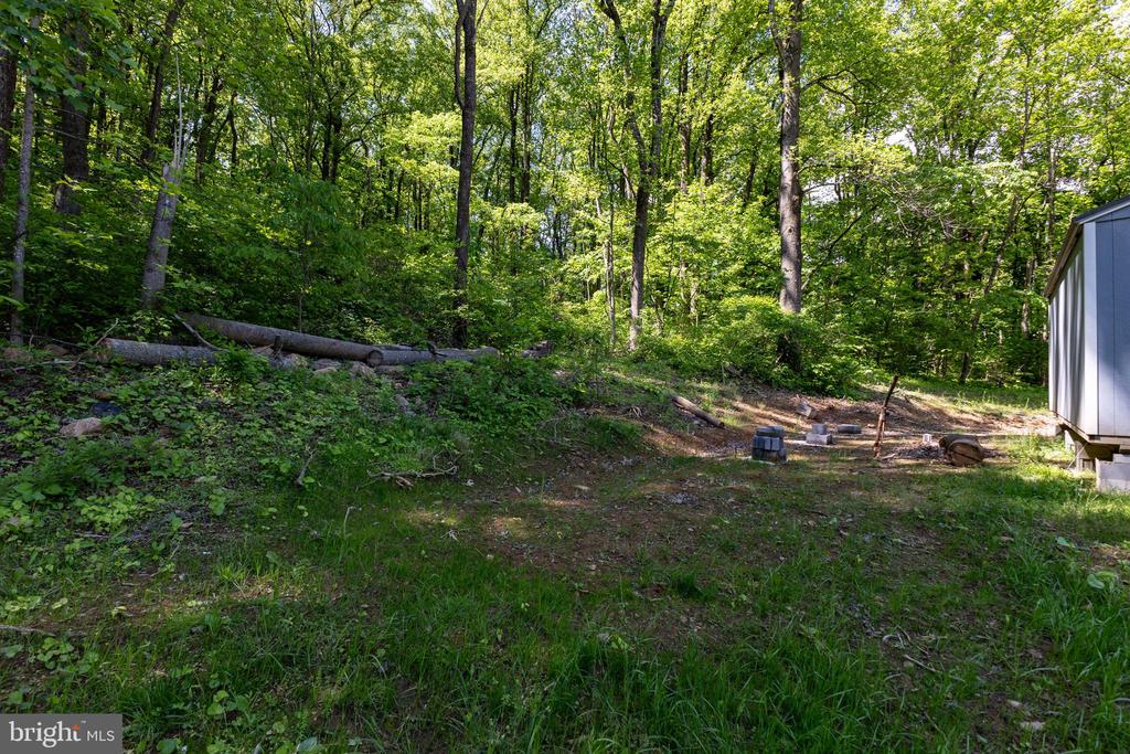 1097 BALKAMORE HILL RD, STANLEY, Virginia 22851, ,Land,1097 BALKAMORE HILL RD,VAPA2006466 MLS # VAPA2006466