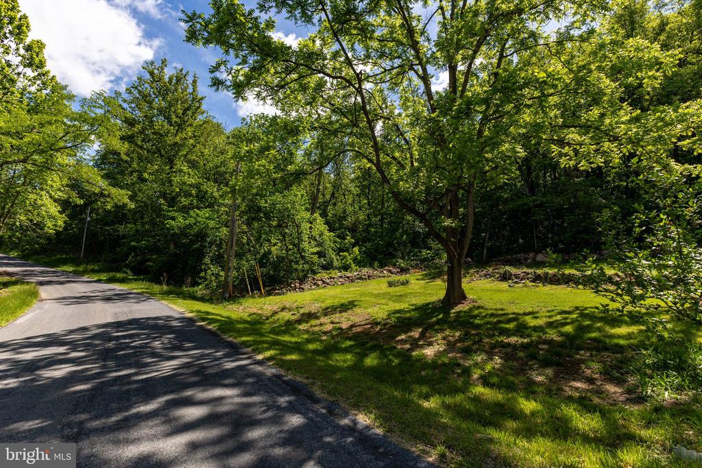 1097 BALKAMORE HILL RD, STANLEY, Virginia 22851, ,Land,1097 BALKAMORE HILL RD,VAPA2006466 MLS # VAPA2006466