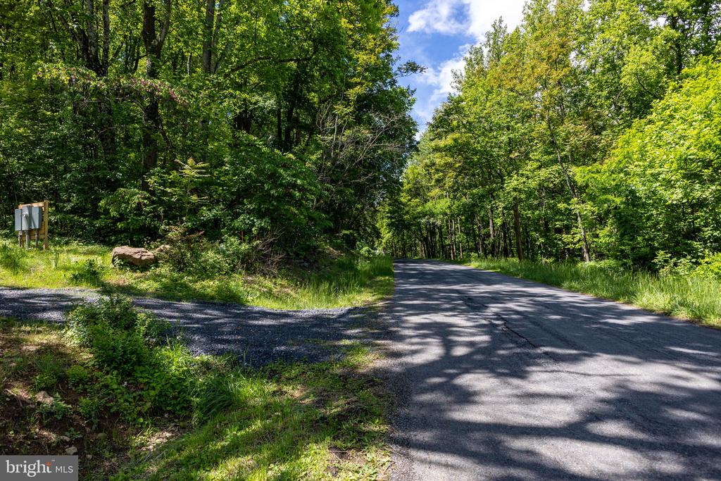 1097 BALKAMORE HILL RD, STANLEY, Virginia 22851, ,Land,1097 BALKAMORE HILL RD,VAPA2006466 MLS # VAPA2006466