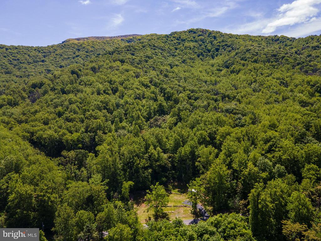 1097 BALKAMORE HILL RD, STANLEY, Virginia 22851, ,Land,1097 BALKAMORE HILL RD,VAPA2006466 MLS # VAPA2006466