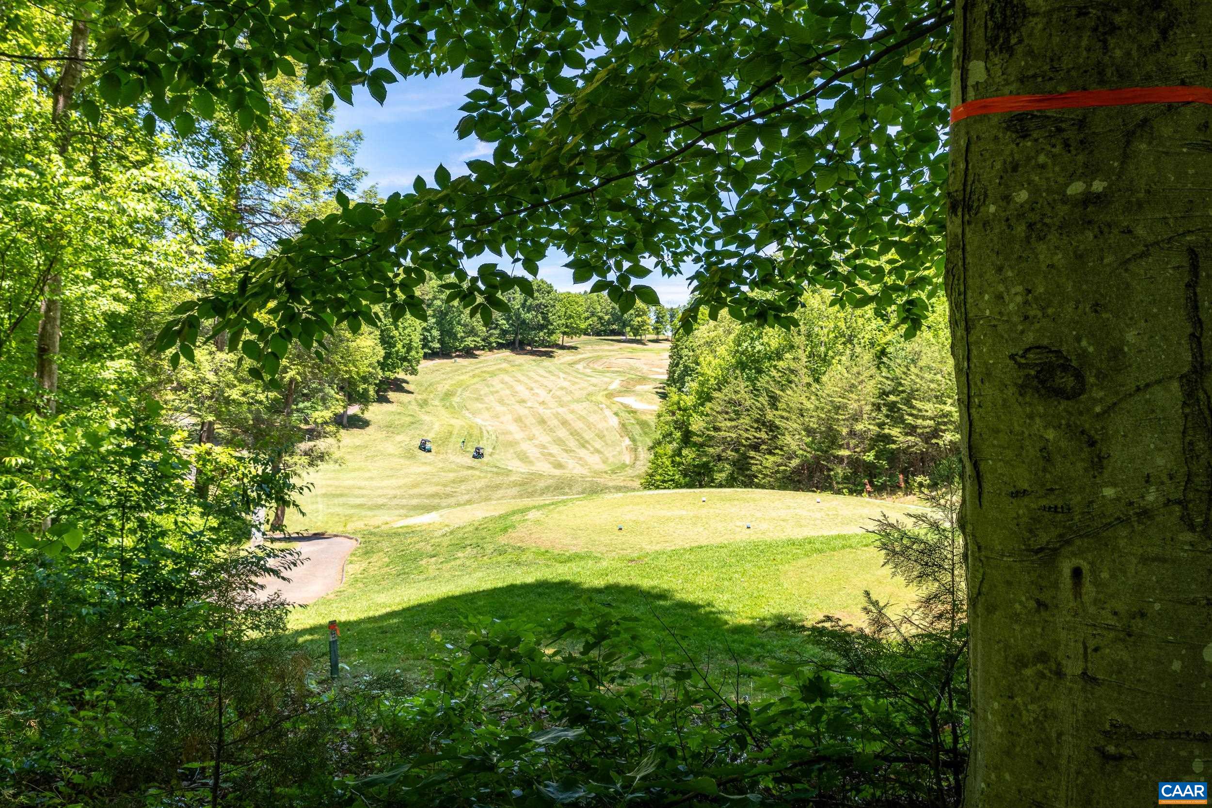 255 CEDAR GLEN CLOSE, NELLYSFORD, Virginia 22958, ,Land,255 CEDAR GLEN CLOSE,677338 MLS # 677338 255 CEDAR GLEN CLOSE, NELLYSFORD, Virginia 22958, ,Land,255 CEDAR GLEN CLOSE,677338 MLS # 677338