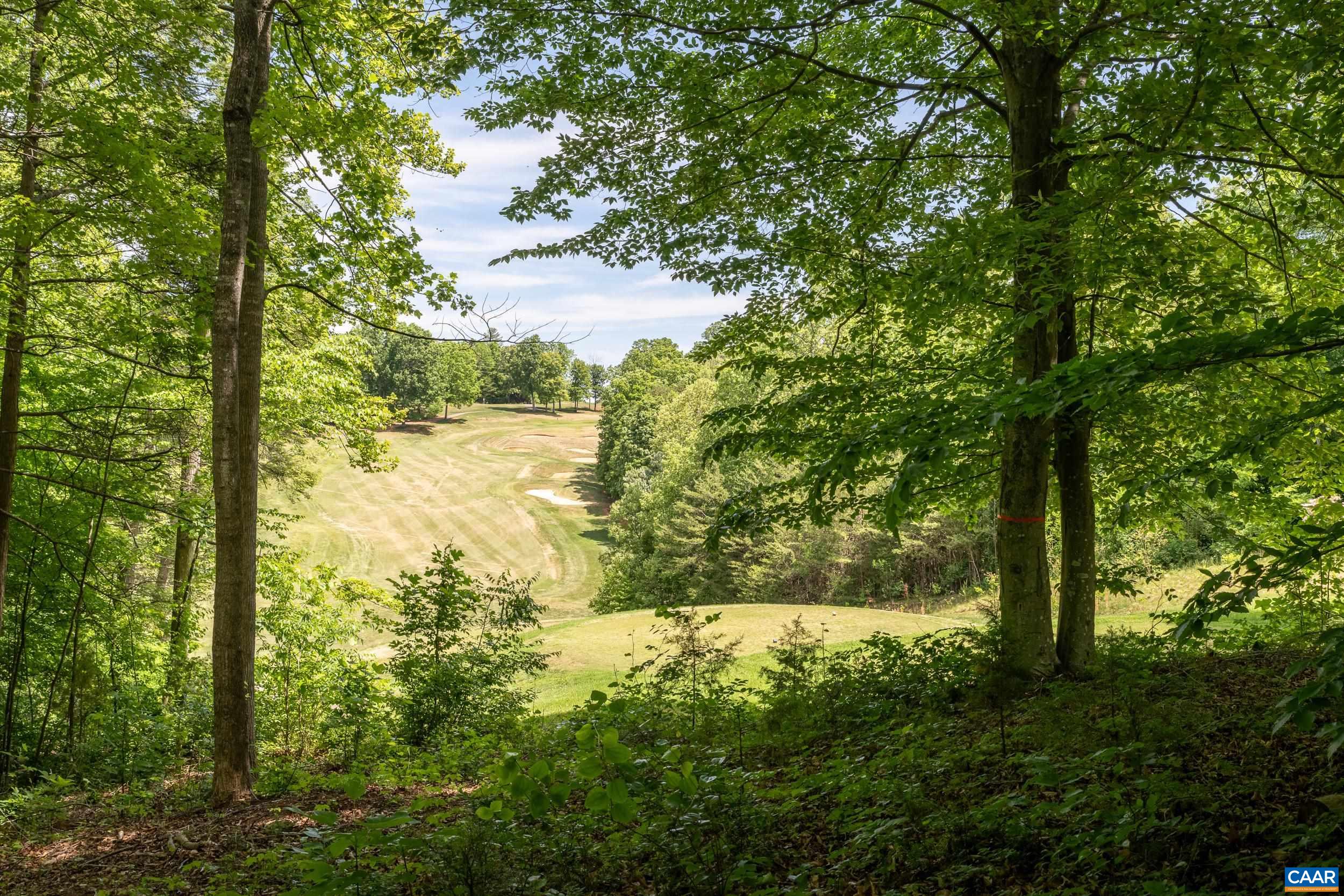 255 CEDAR GLEN CLOSE, NELLYSFORD, Virginia 22958, ,Land,255 CEDAR GLEN CLOSE,677338 MLS # 677338 255 CEDAR GLEN CLOSE, NELLYSFORD, Virginia 22958, ,Land,255 CEDAR GLEN CLOSE,677338 MLS # 677338