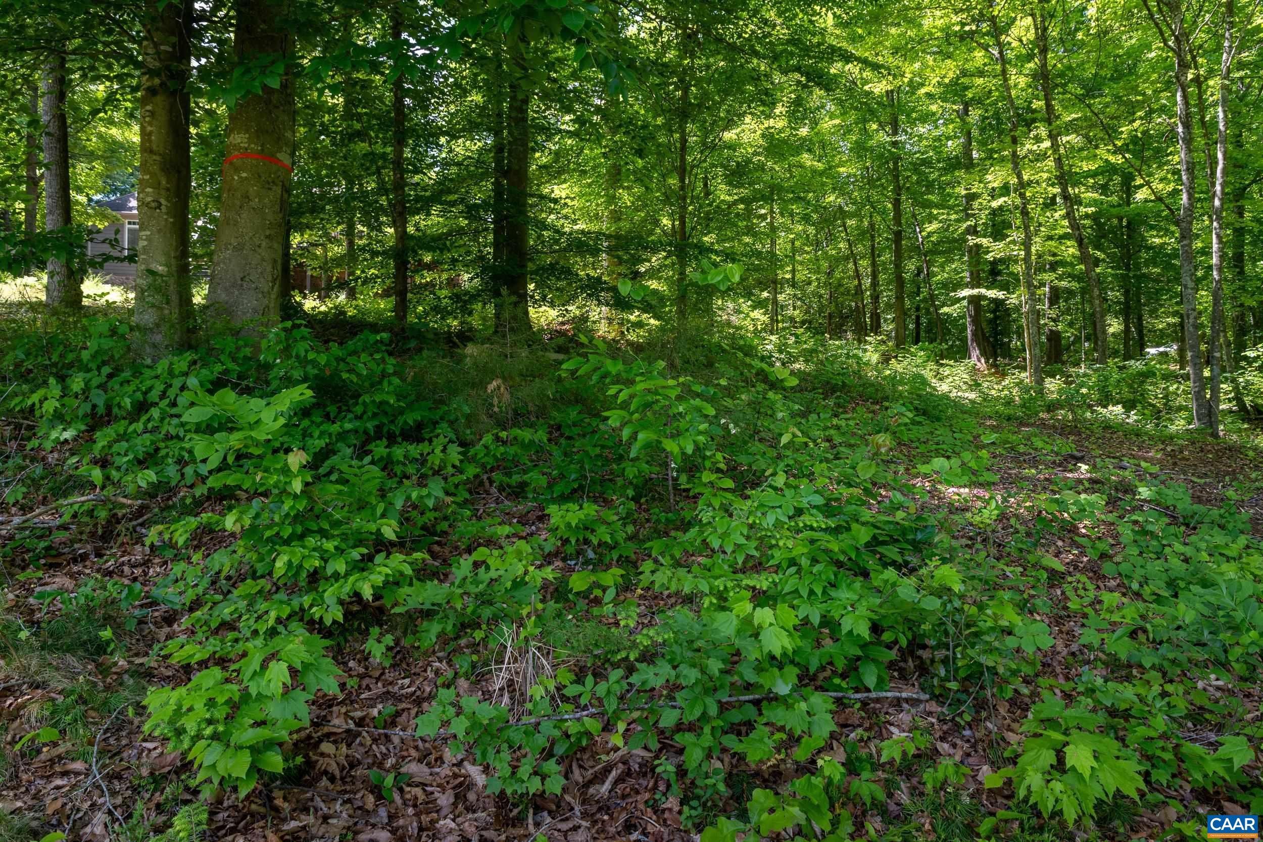 255 CEDAR GLEN CLOSE, NELLYSFORD, Virginia 22958, ,Land,255 CEDAR GLEN CLOSE,677338 MLS # 677338 255 CEDAR GLEN CLOSE, NELLYSFORD, Virginia 22958, ,Land,255 CEDAR GLEN CLOSE,677338 MLS # 677338