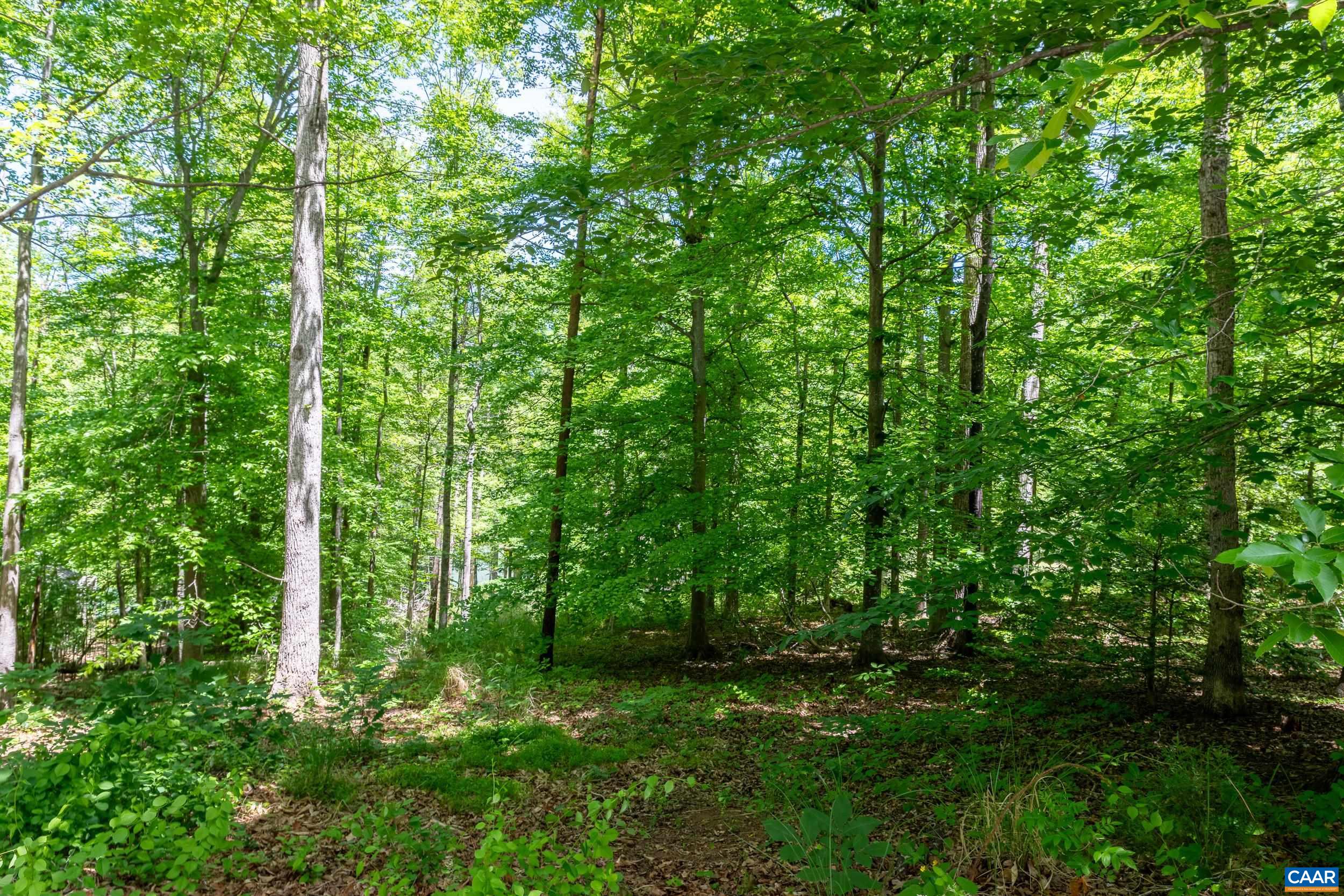 255 CEDAR GLEN CLOSE, NELLYSFORD, Virginia 22958, ,Land,255 CEDAR GLEN CLOSE,677338 MLS # 677338 255 CEDAR GLEN CLOSE, NELLYSFORD, Virginia 22958, ,Land,255 CEDAR GLEN CLOSE,677338 MLS # 677338