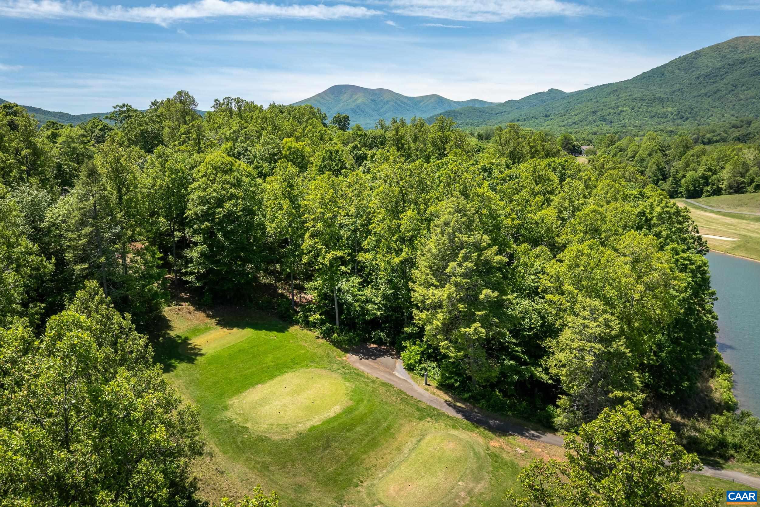 255 CEDAR GLEN CLOSE, NELLYSFORD, Virginia 22958, ,Land,255 CEDAR GLEN CLOSE,677338 MLS # 677338 255 CEDAR GLEN CLOSE, NELLYSFORD, Virginia 22958, ,Land,255 CEDAR GLEN CLOSE,677338 MLS # 677338